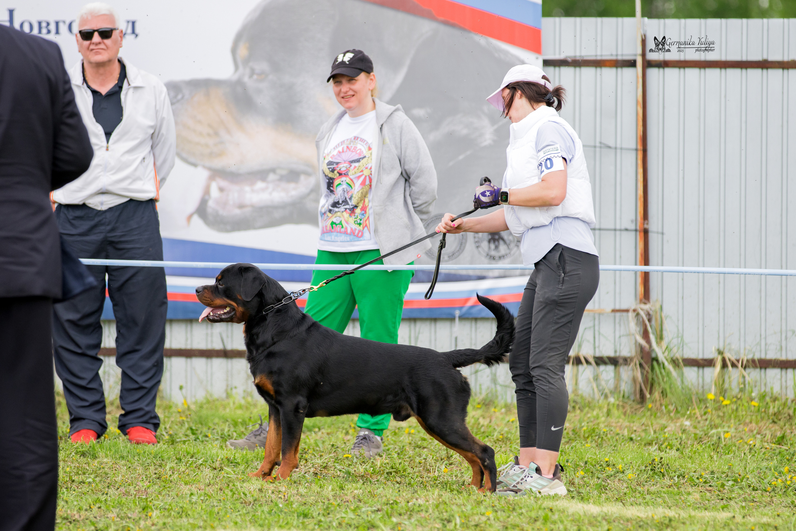 Нижний Новгород моно ротвейлеров 13.05.2023. Фотограф-анималист Юлия Германика