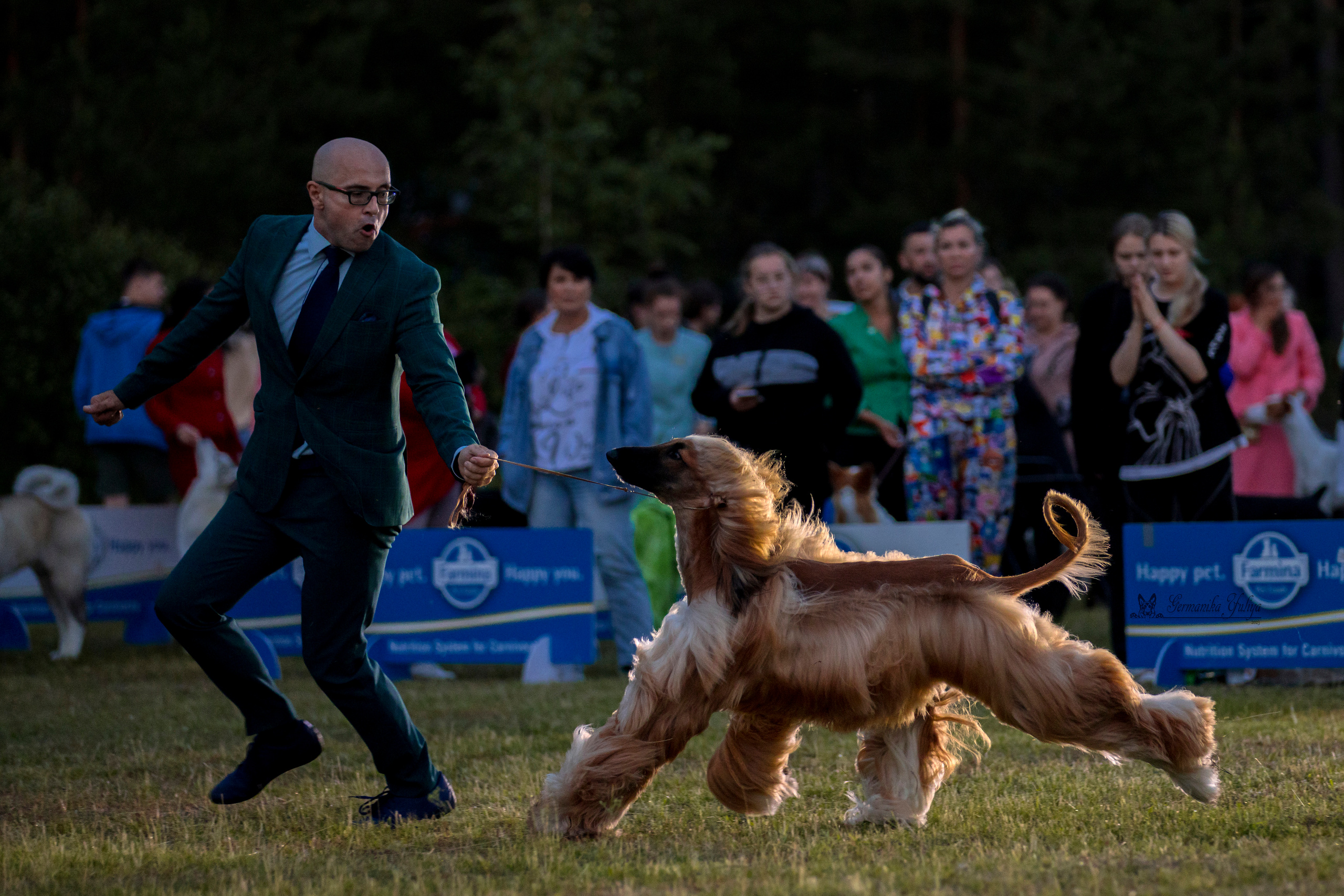 Владимир 1-2.07.2023. Фотограф-анималист Юлия Германика