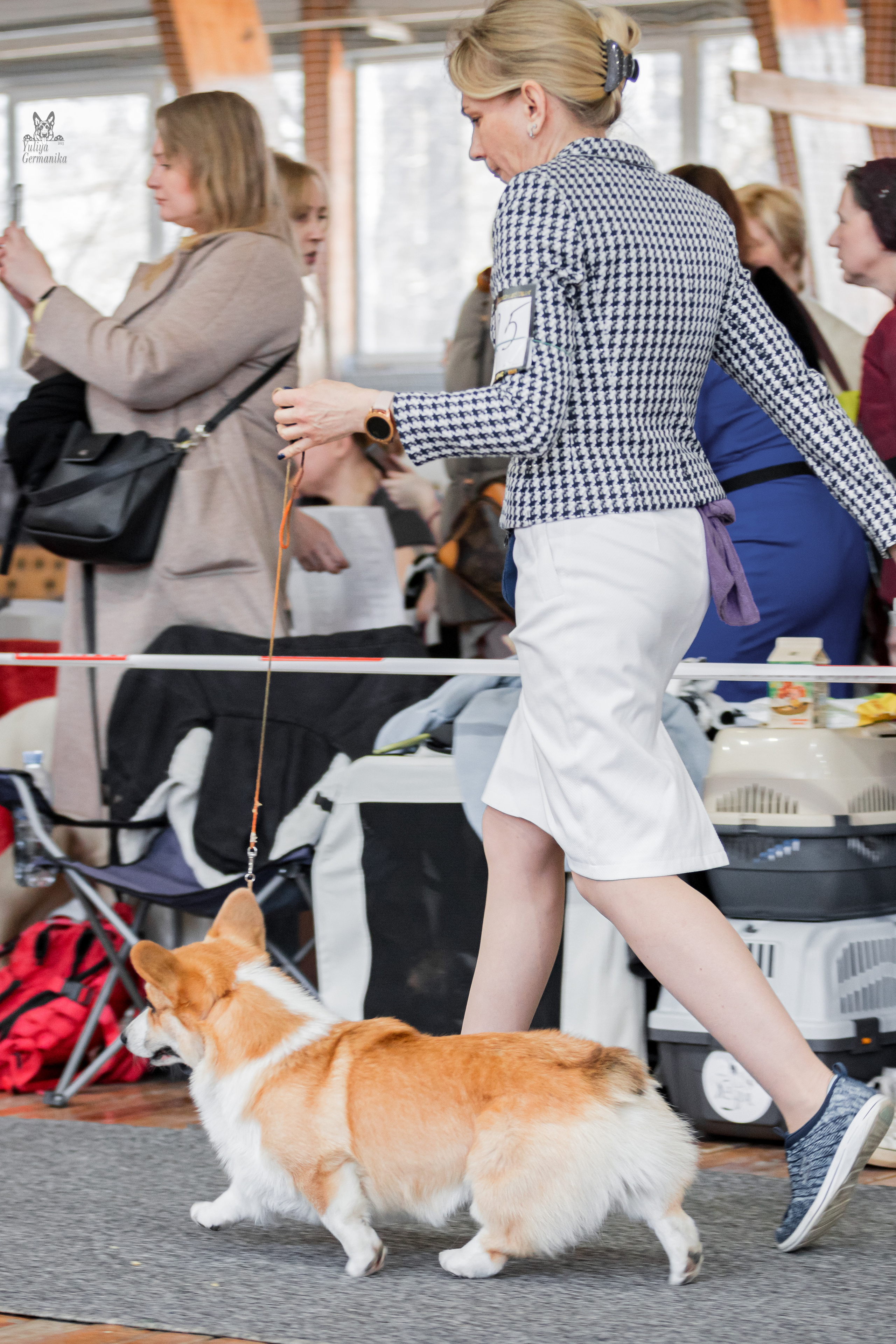 Тверь 01.04.2023. Фотограф-анималист Юлия Германика