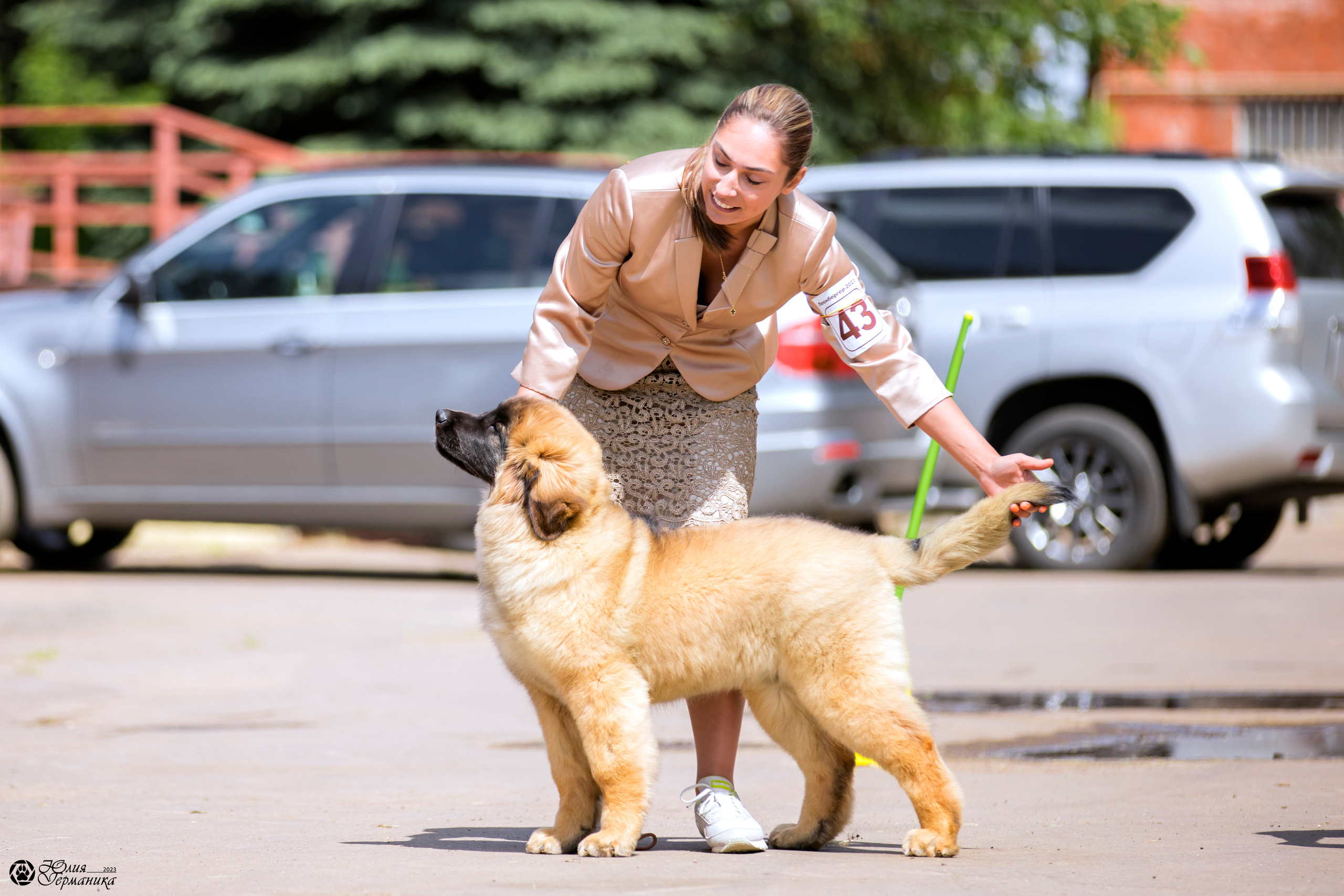 Националка Леонбергеров 28.05.2023. Фотограф-анималист Юлия Германика