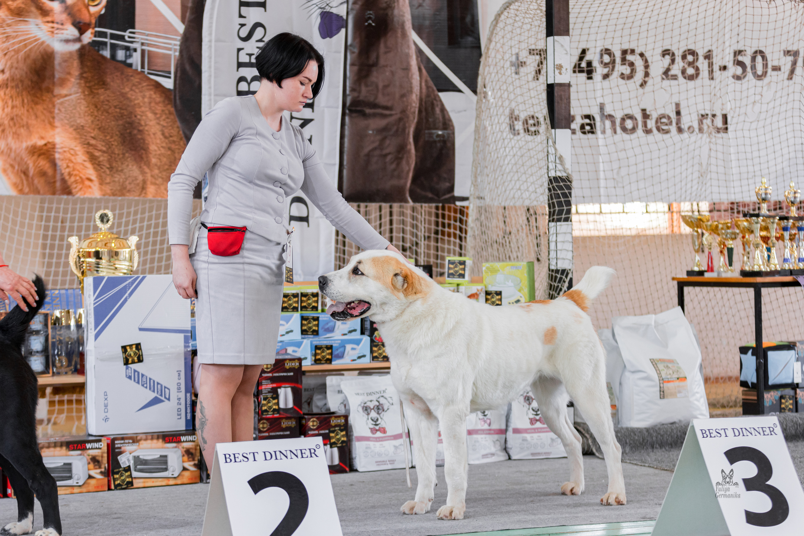 Тверь 01.04.2023. Фотограф-анималист Юлия Германика