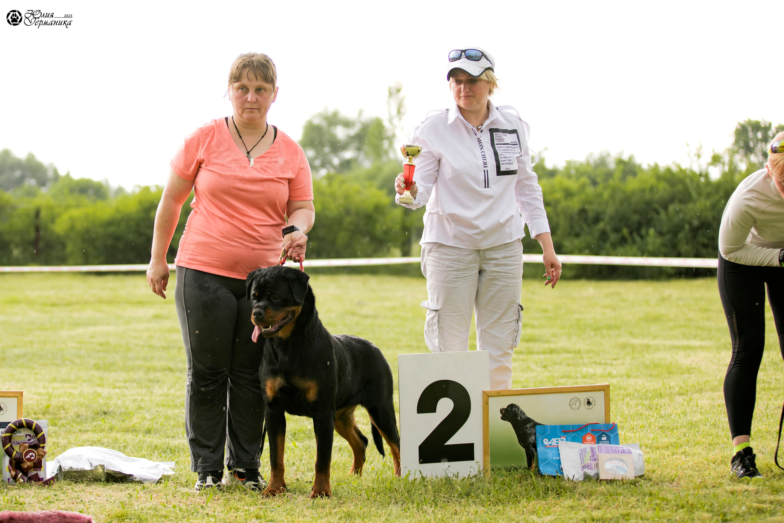Воронеж 2хмоно ротвейлеров 3-4.06.2023. Фотограф-анималист Юлия Германика