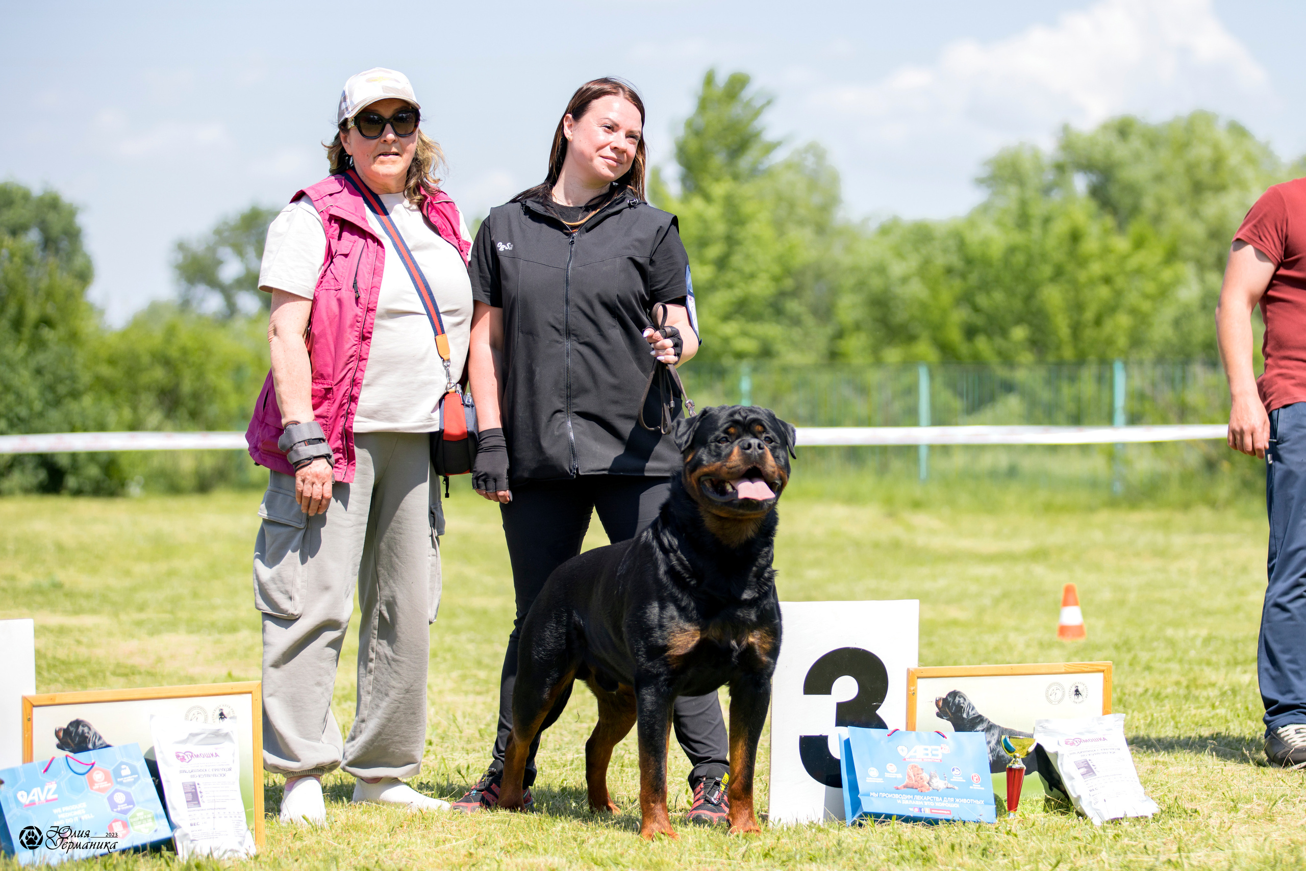Воронеж 2хмоно ротвейлеров 3-4.06.2023. Фотограф-анималист Юлия Германика
