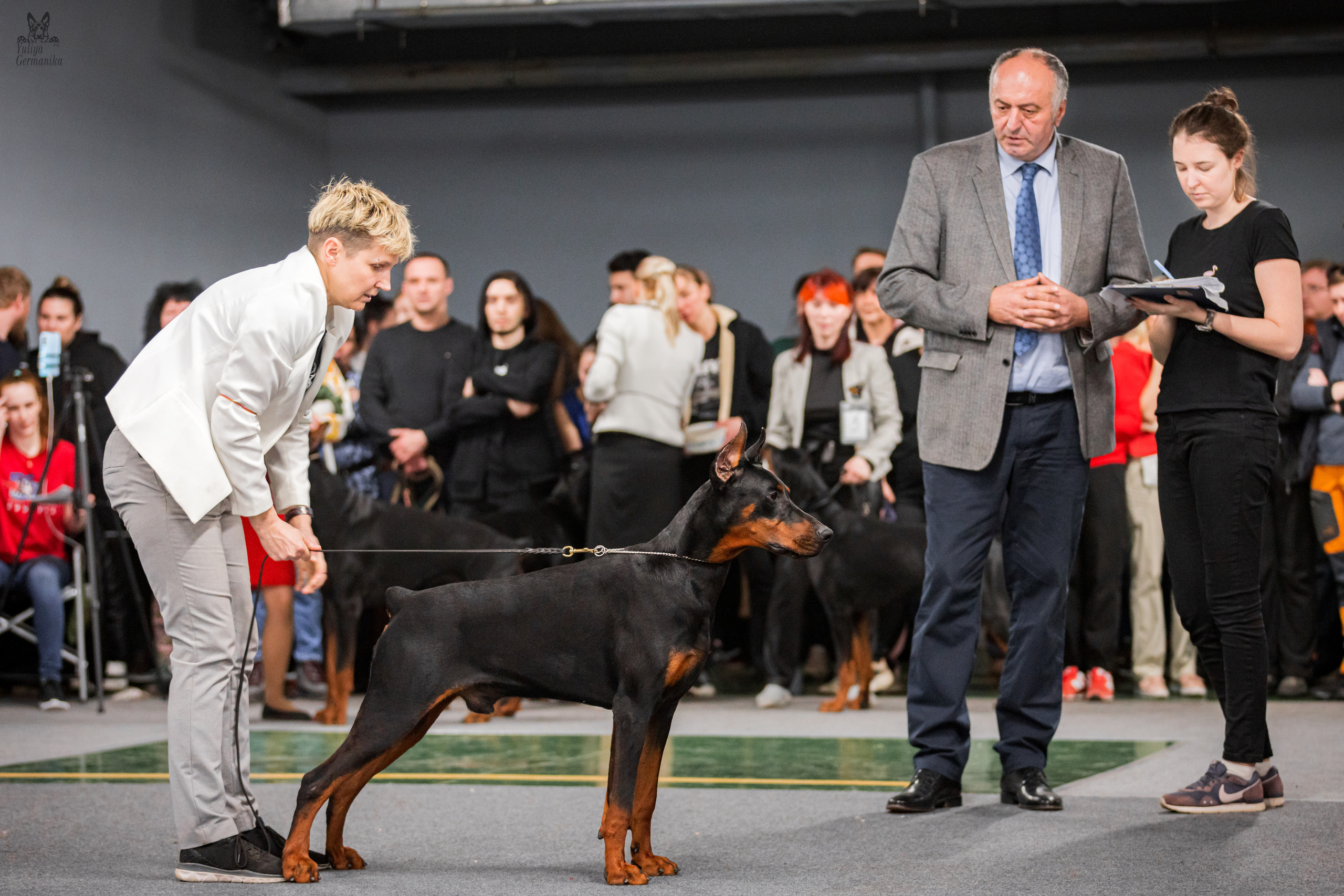 Сфера+доберманы 02.04.2023. Фотограф-анималист Юлия Германика