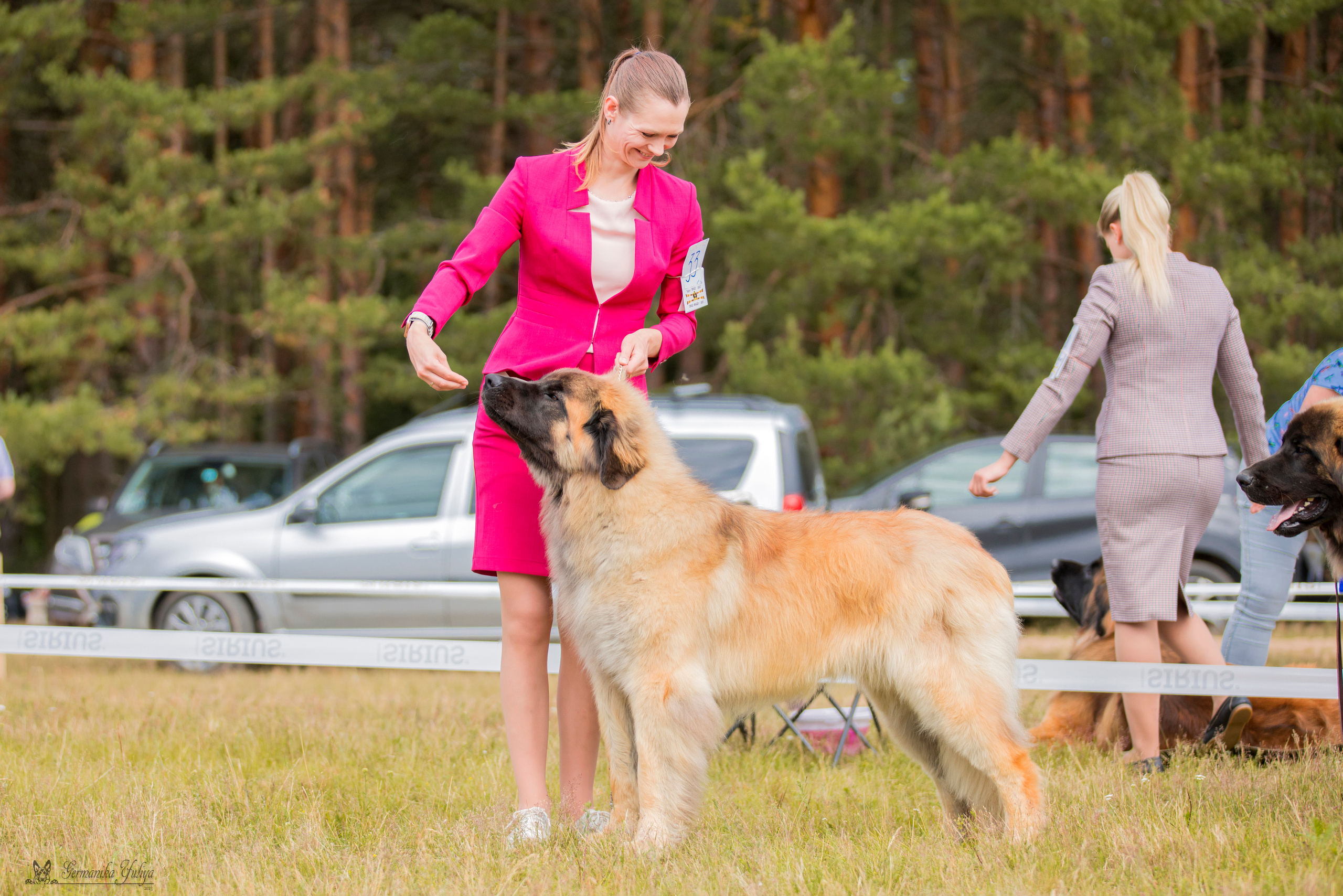 Волжанка 8.07.2023. Фотограф-анималист Юлия Германика