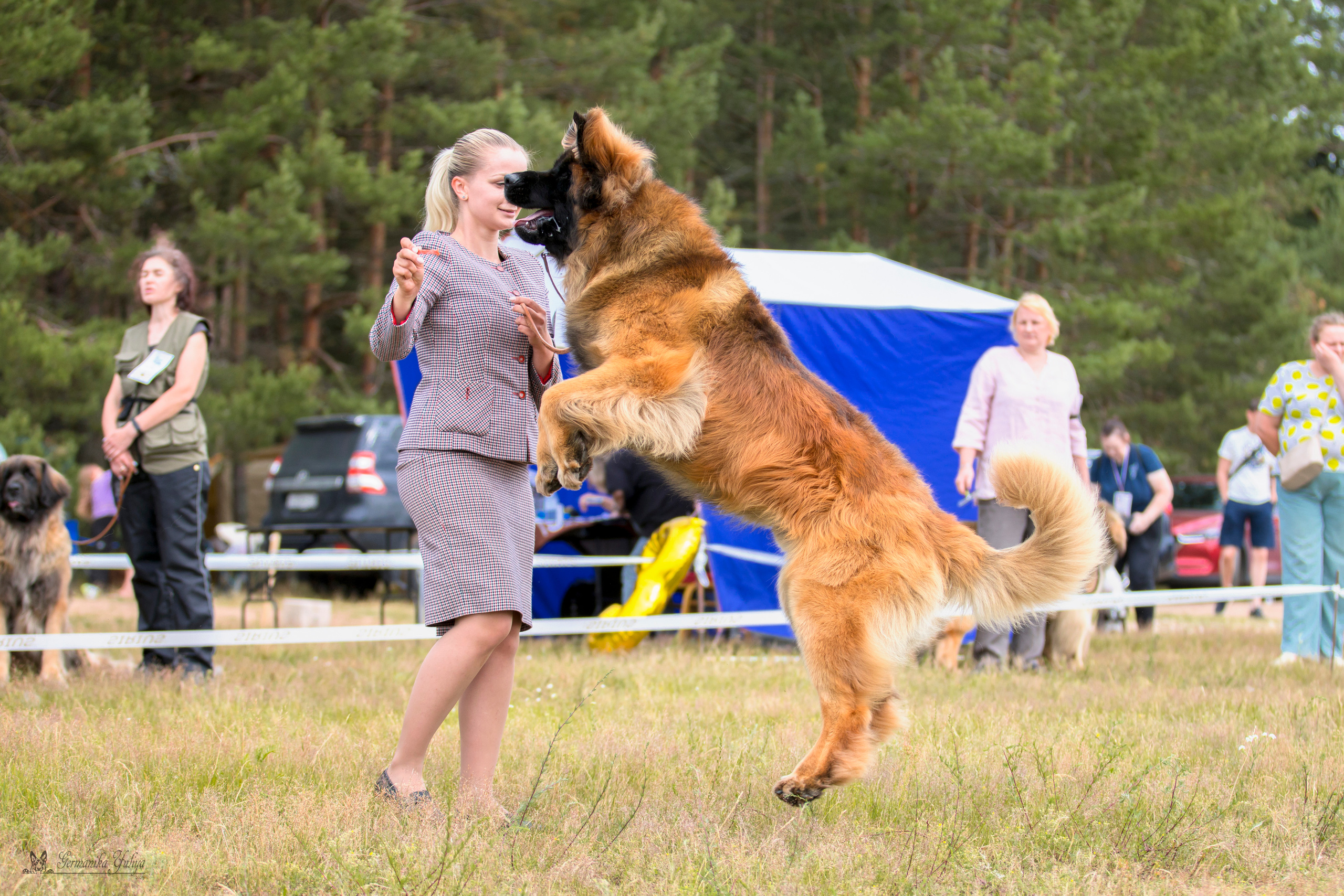 Волжанка 8.07.2023. Фотограф-анималист Юлия Германика