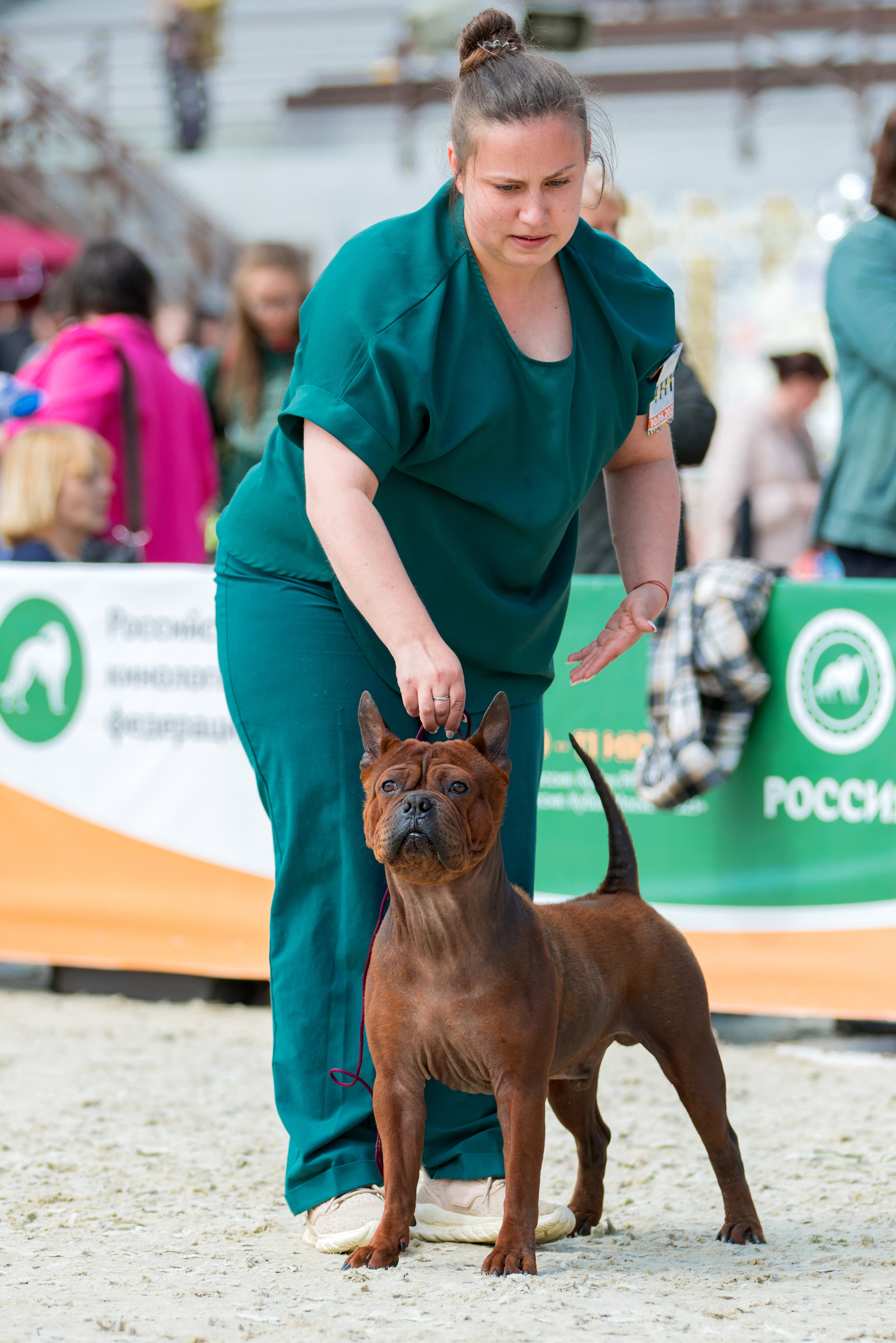 Россия 10-11.06.2023. Фотограф-анималист Юлия Германика