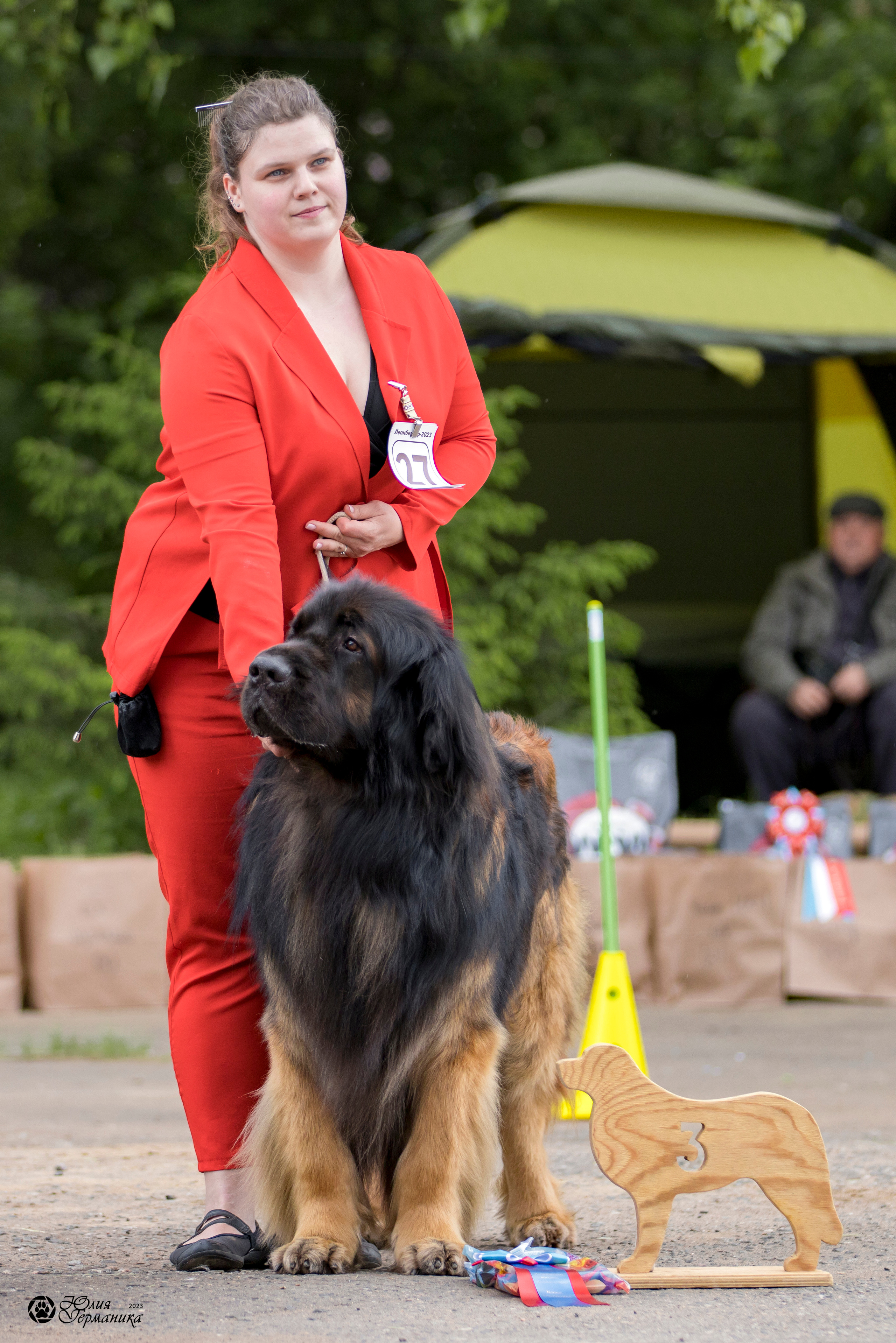 Националка Леонбергеров 28.05.2023. Фотограф-анималист Юлия Германика