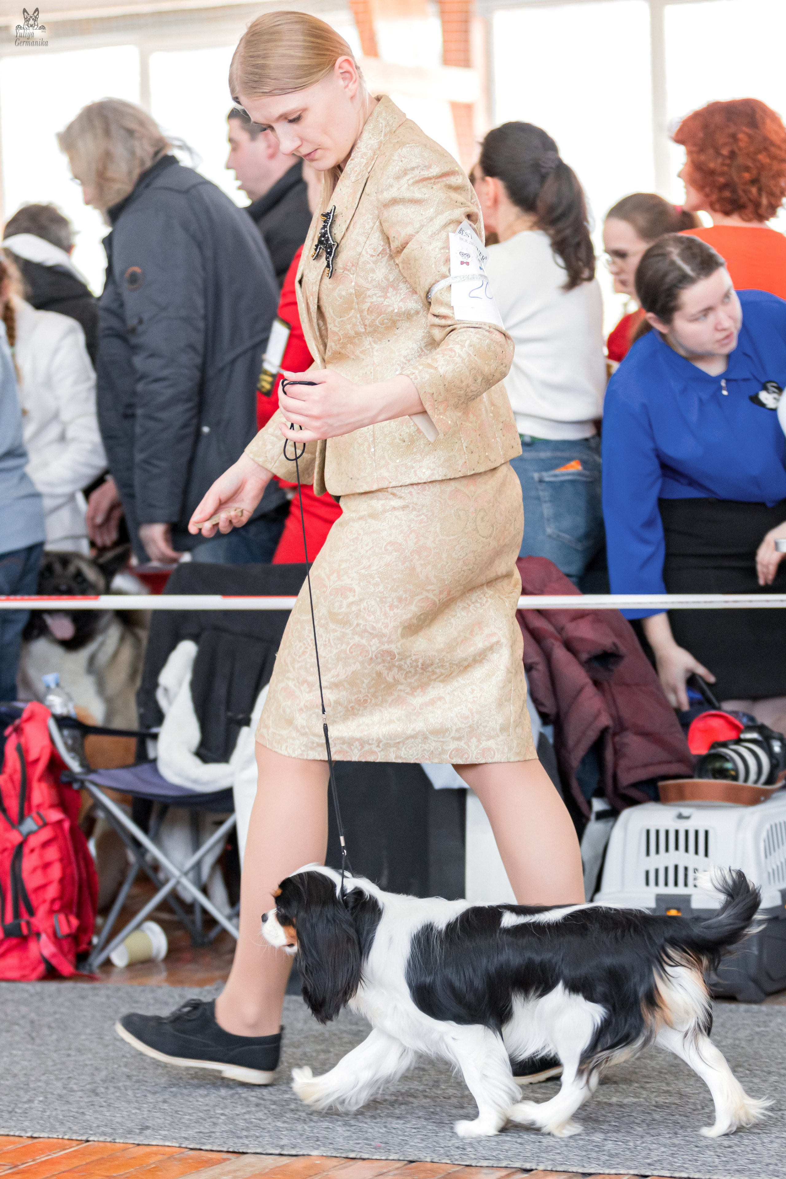 Тверь 01.04.2023. Фотограф-анималист Юлия Германика