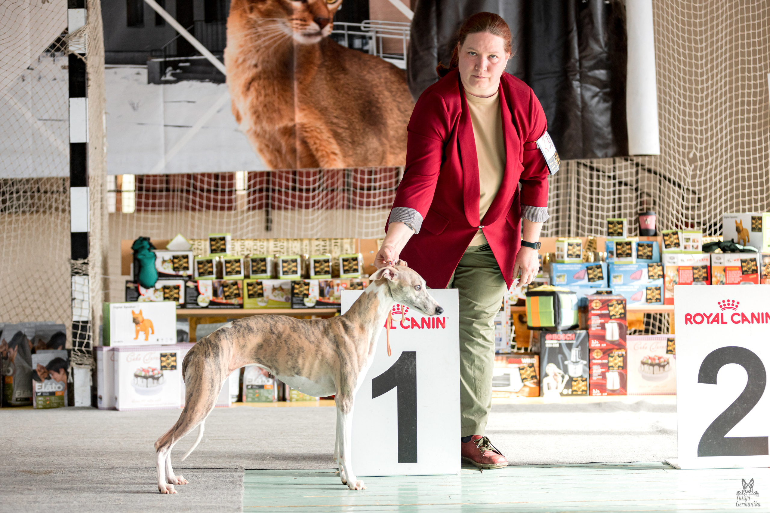 Тверь 01.04.2023. Фотограф-анималист Юлия Германика