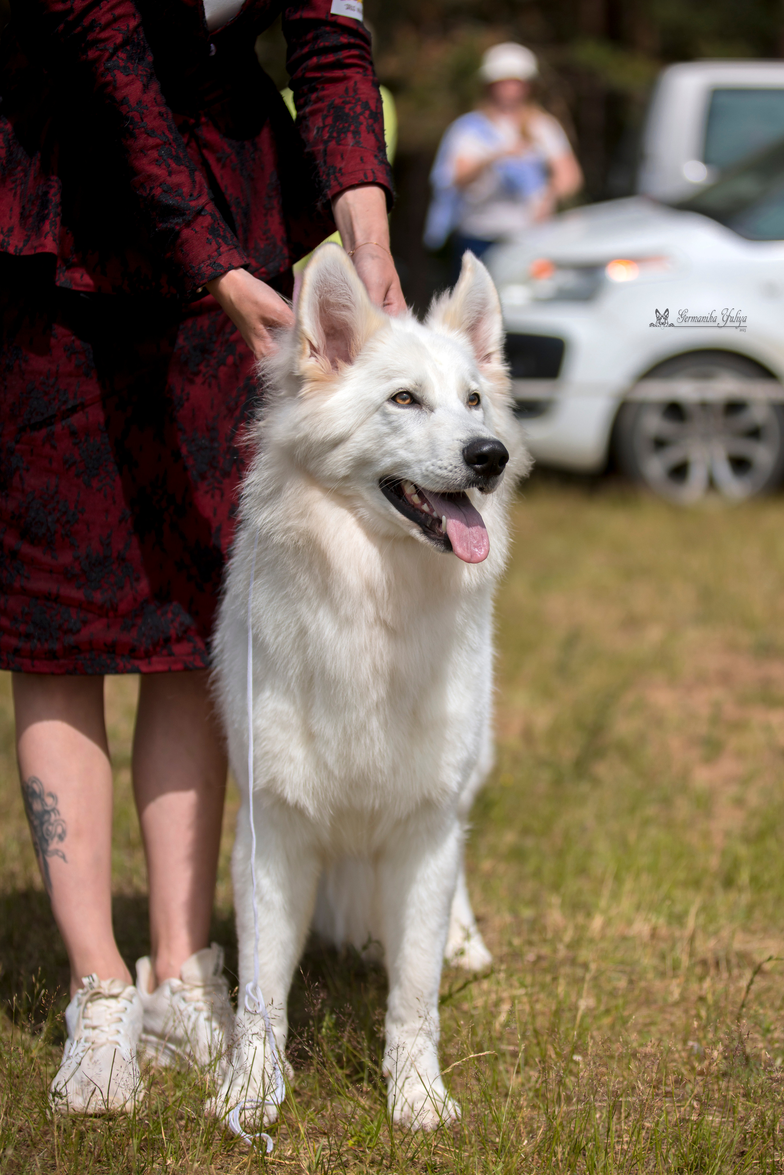 Волжанка 8.07.2023. Фотограф-анималист Юлия Германика