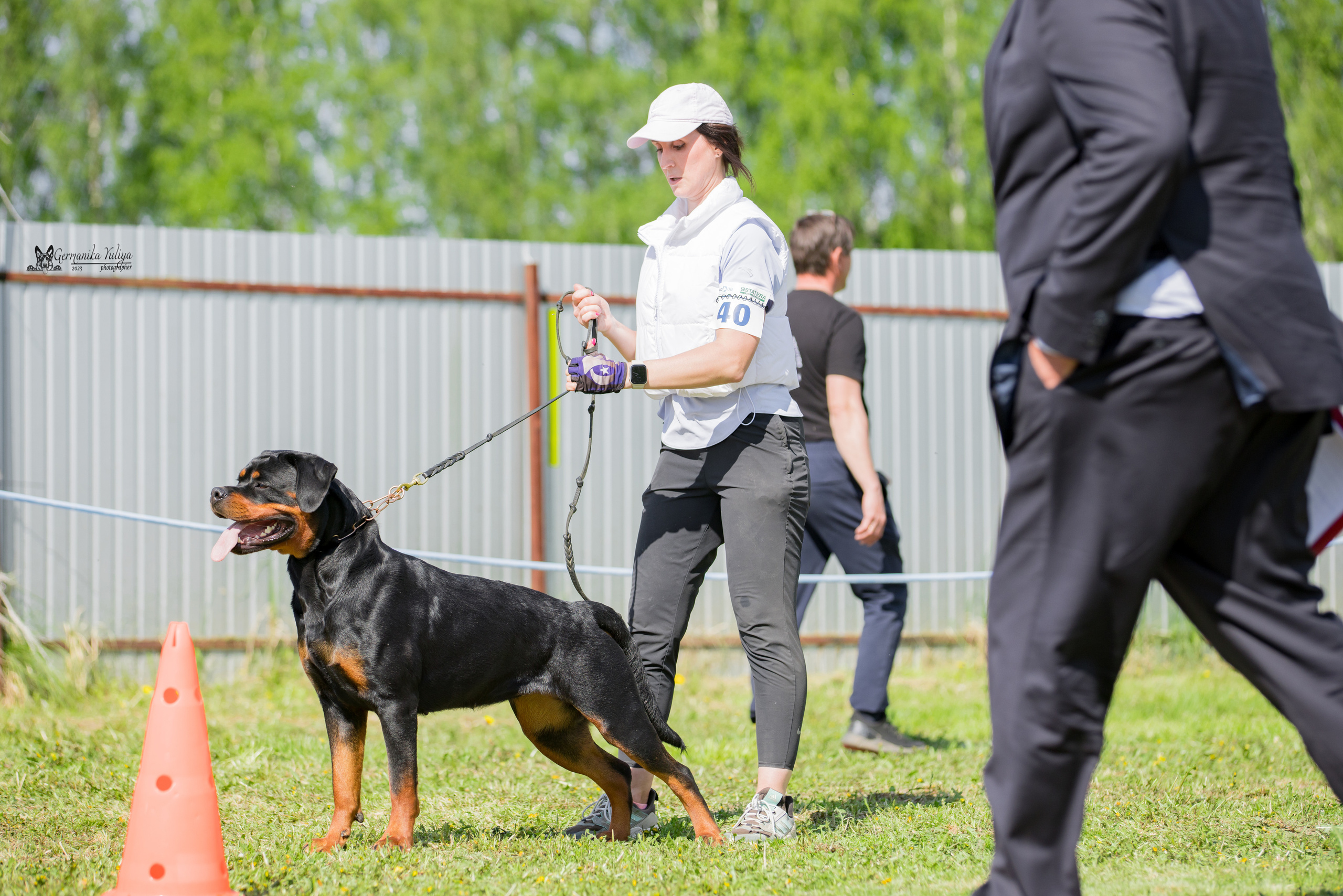 Нижний Новгород моно ротвейлеров 13.05.2023. Фотограф-анималист Юлия Германика