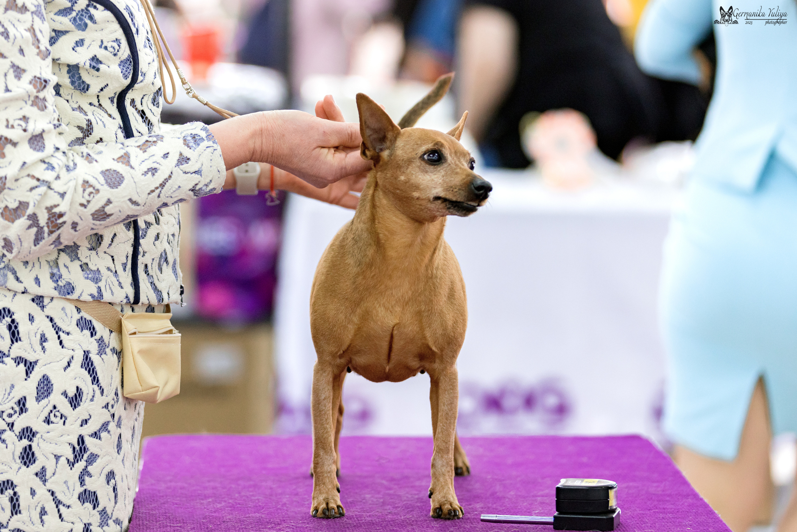МД 15.04.2023. Фотограф-анималист Юлия Германика