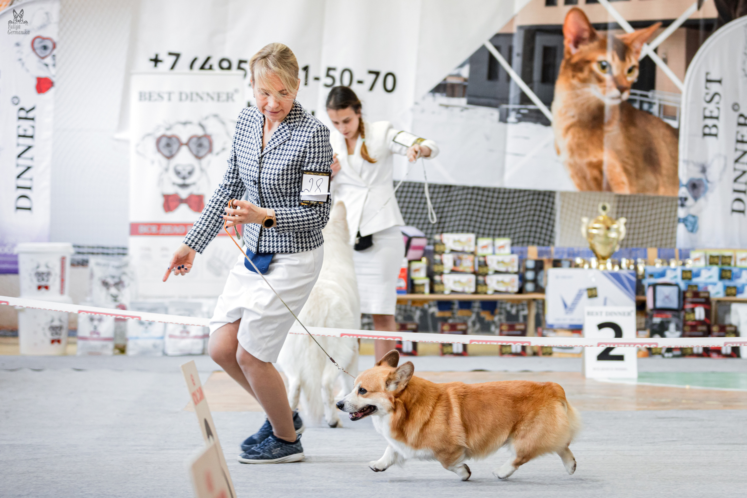 Тверь 01.04.2023. Фотограф-анималист Юлия Германика