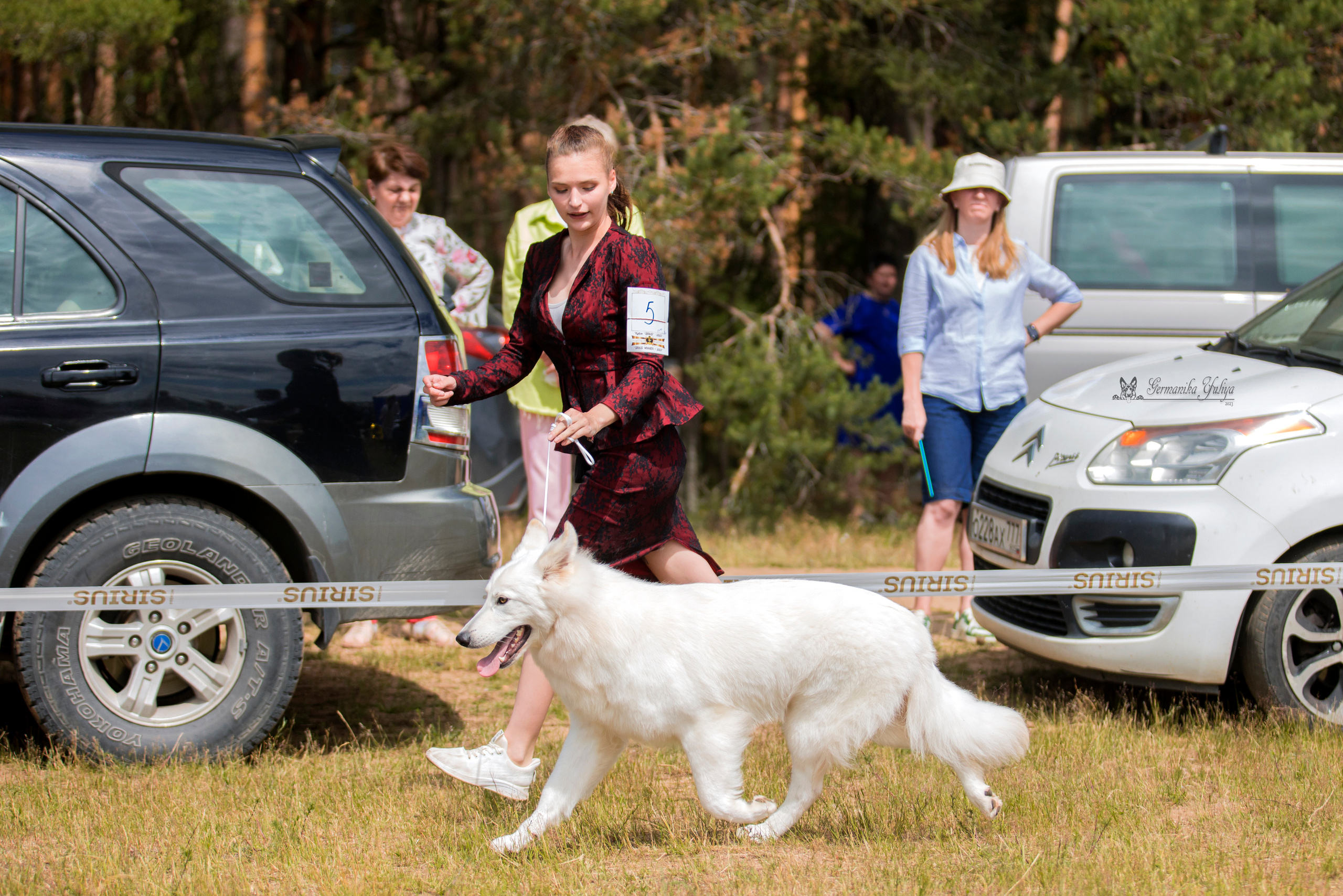 Волжанка 8.07.2023. Фотограф-анималист Юлия Германика