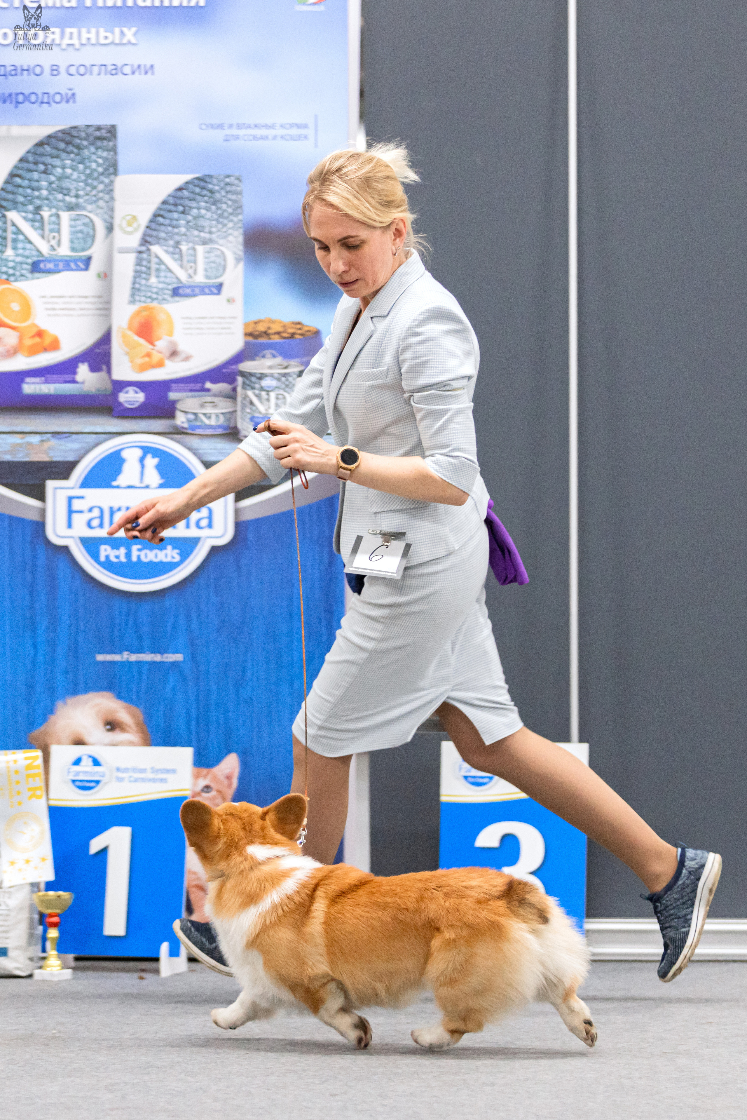 Сфера+доберманы 02.04.2023. Фотограф-анималист Юлия Германика