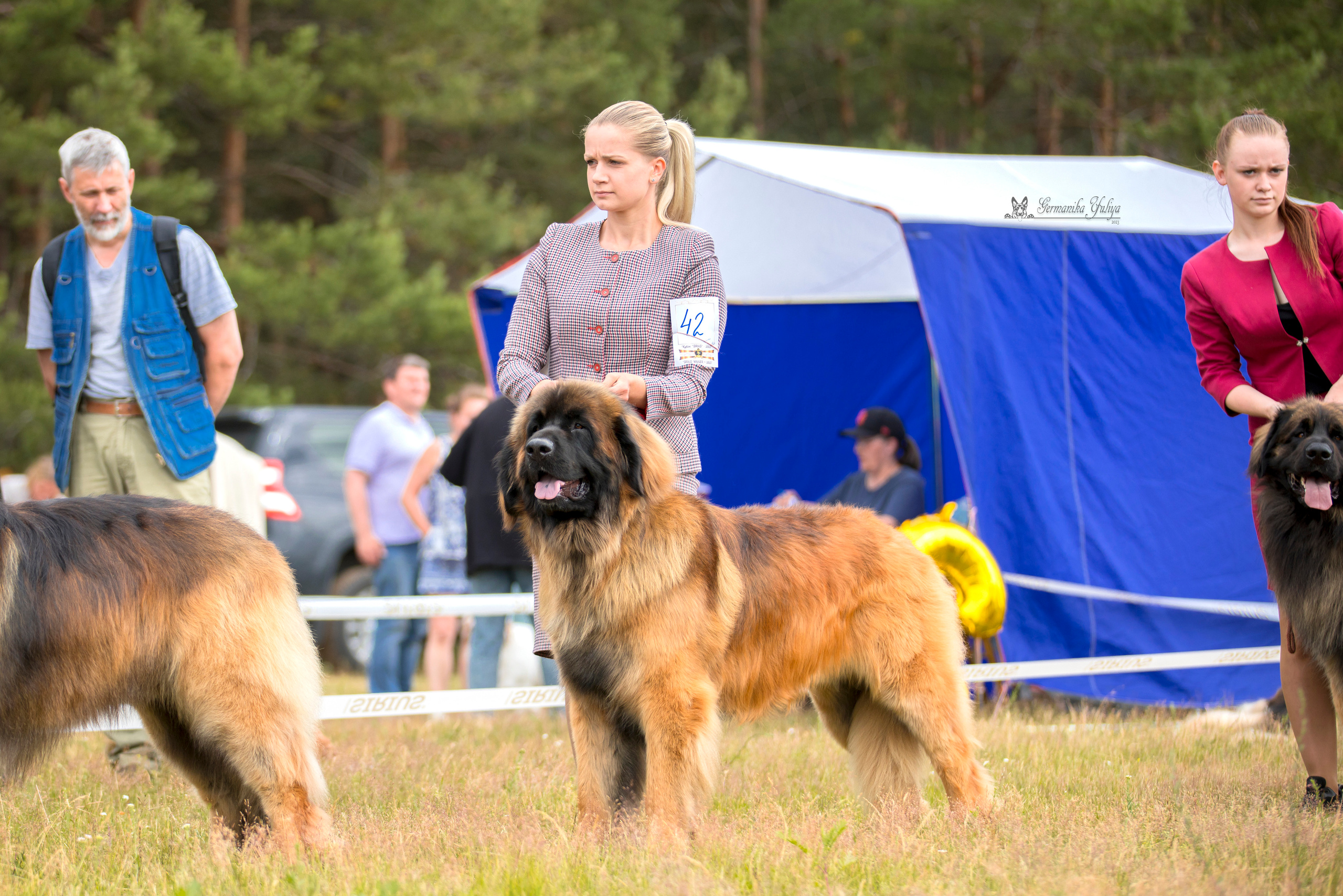 Волжанка 8.07.2023. Фотограф-анималист Юлия Германика