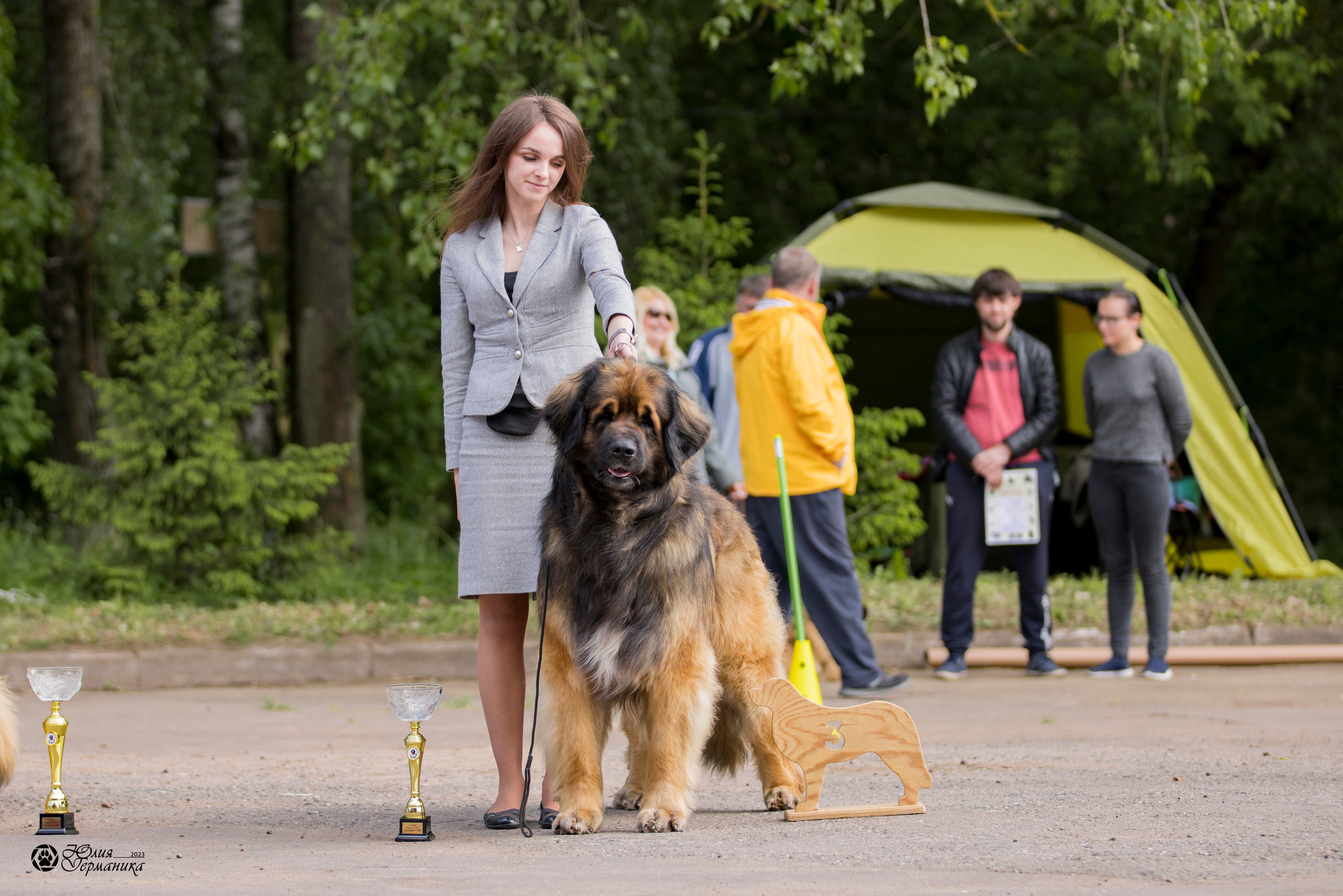Националка Леонбергеров 28.05.2023. Фотограф-анималист Юлия Германика