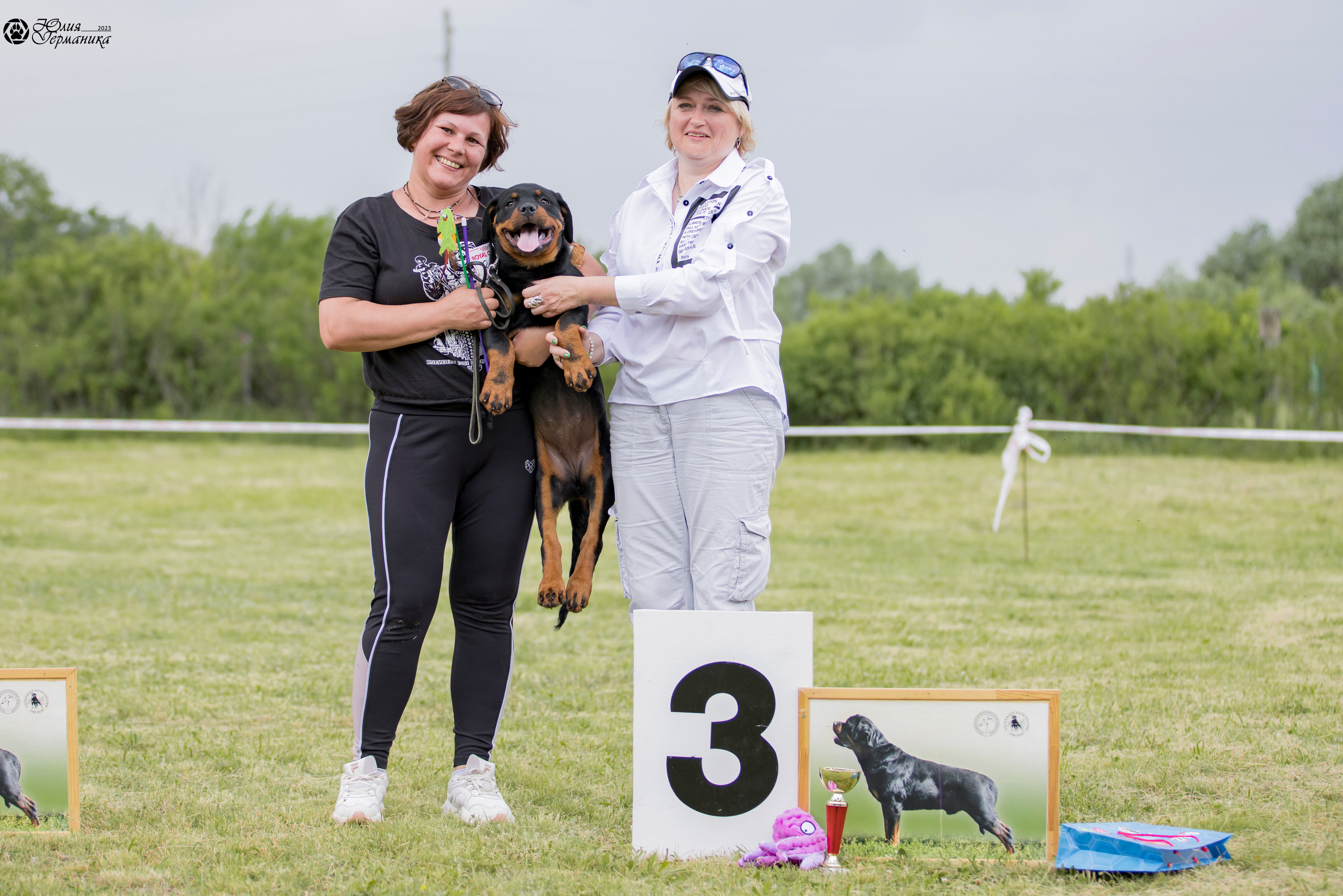 Воронеж 2хмоно ротвейлеров 3-4.06.2023. Фотограф-анималист Юлия Германика