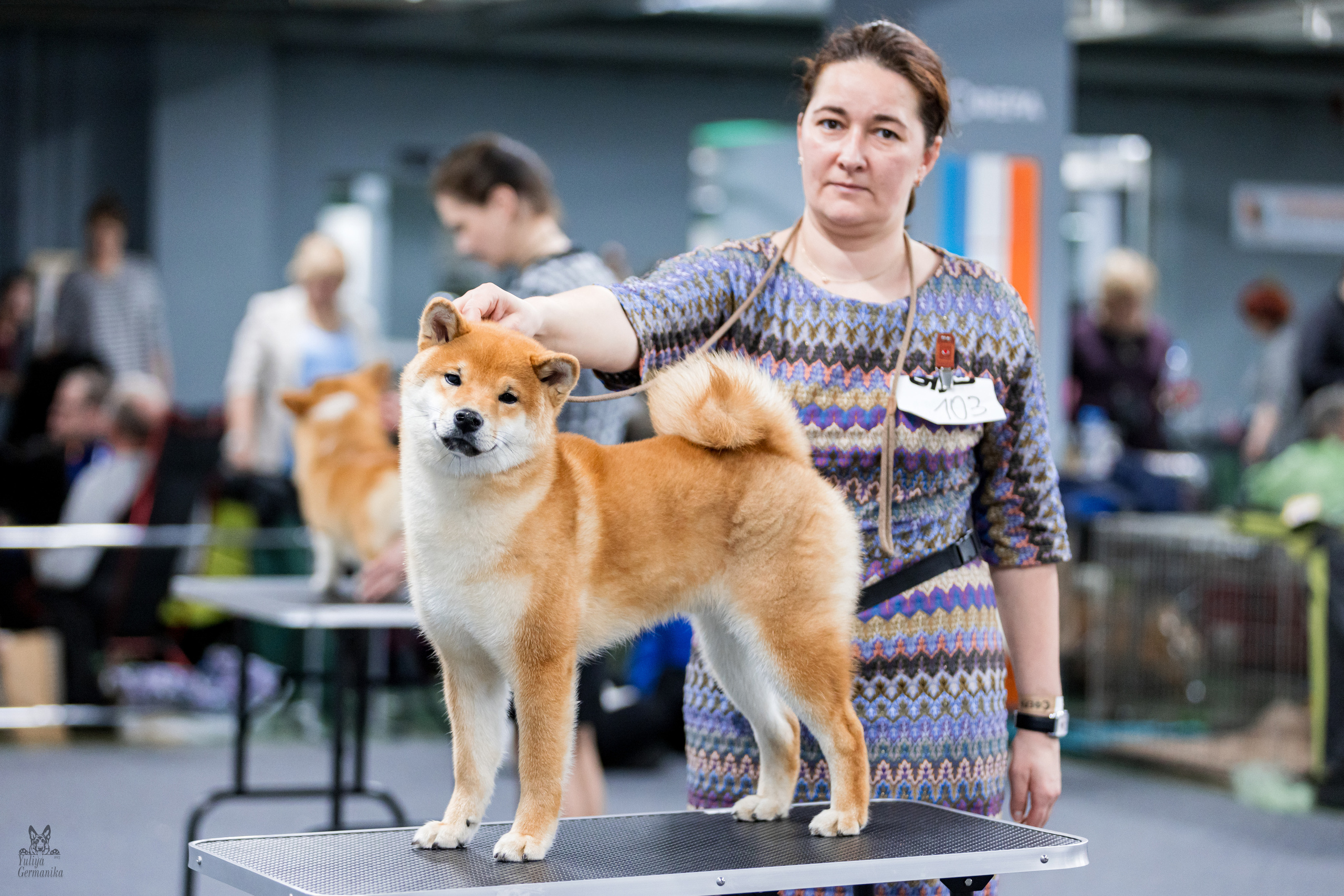 Сфера 25-26.03.2023. Фотограф-анималист Юлия Германика