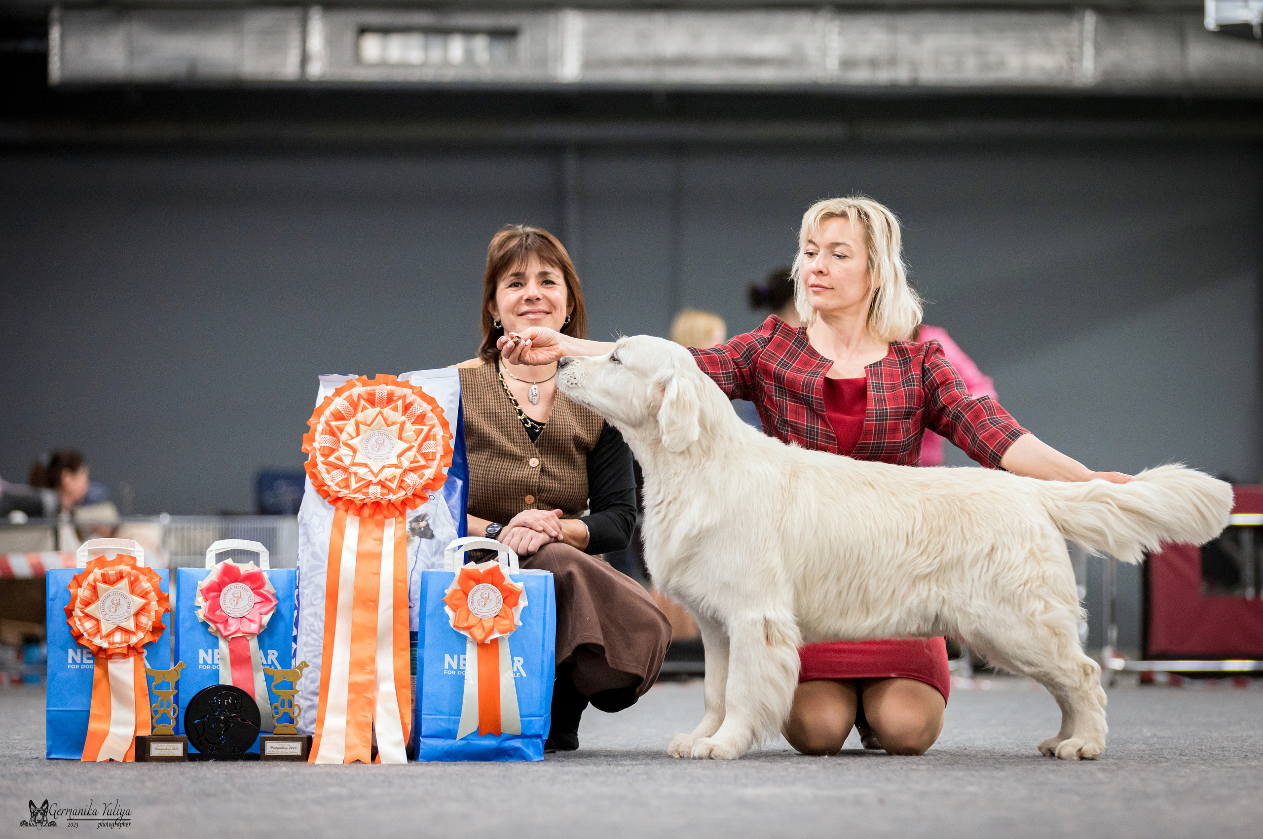 Сфера+МД 8-9.04.2023. Фотограф-анималист Юлия Германика