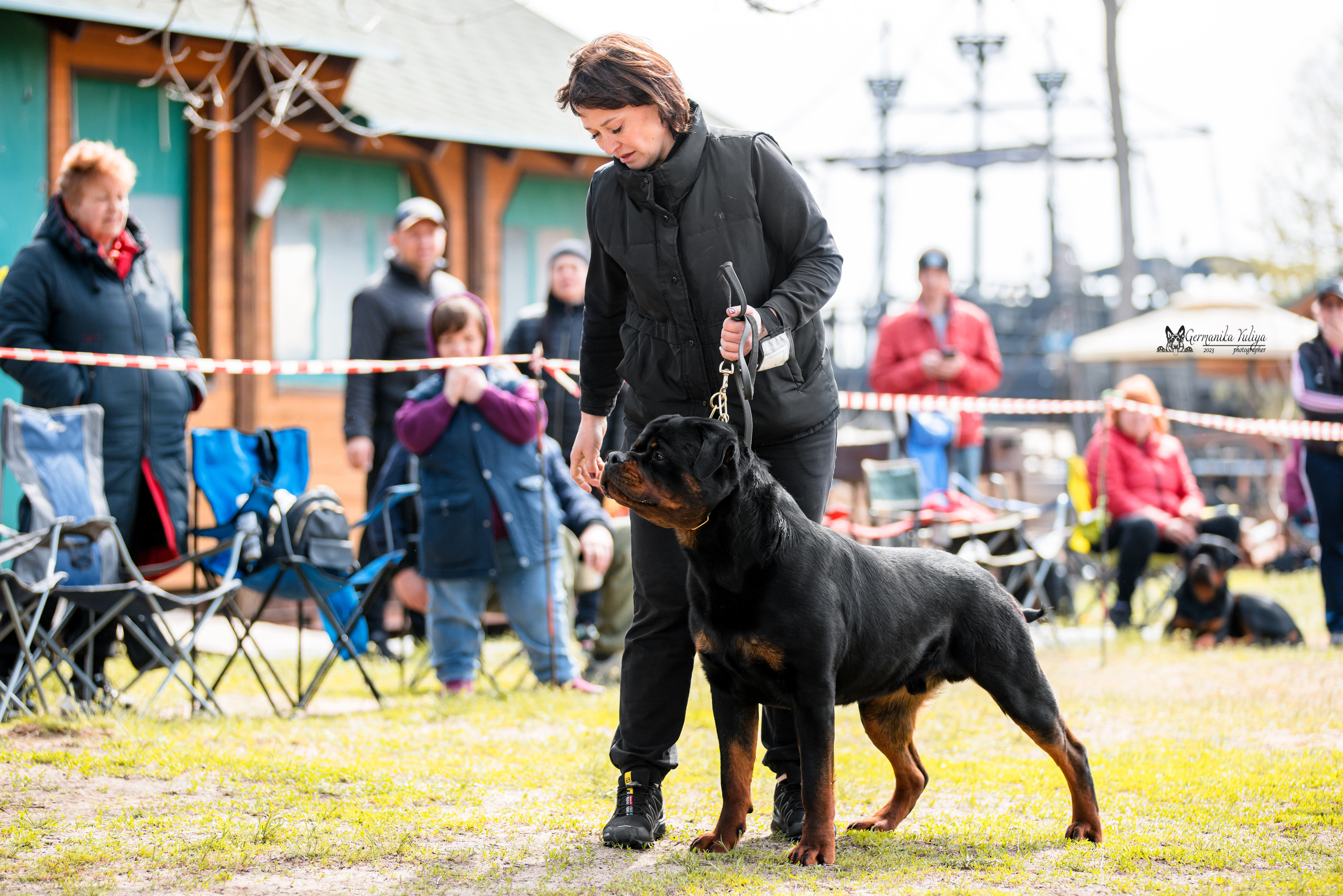 Саратов 2хмоно ротвейлеров 22-23.04.2023. Фотограф-анималист Юлия Германика