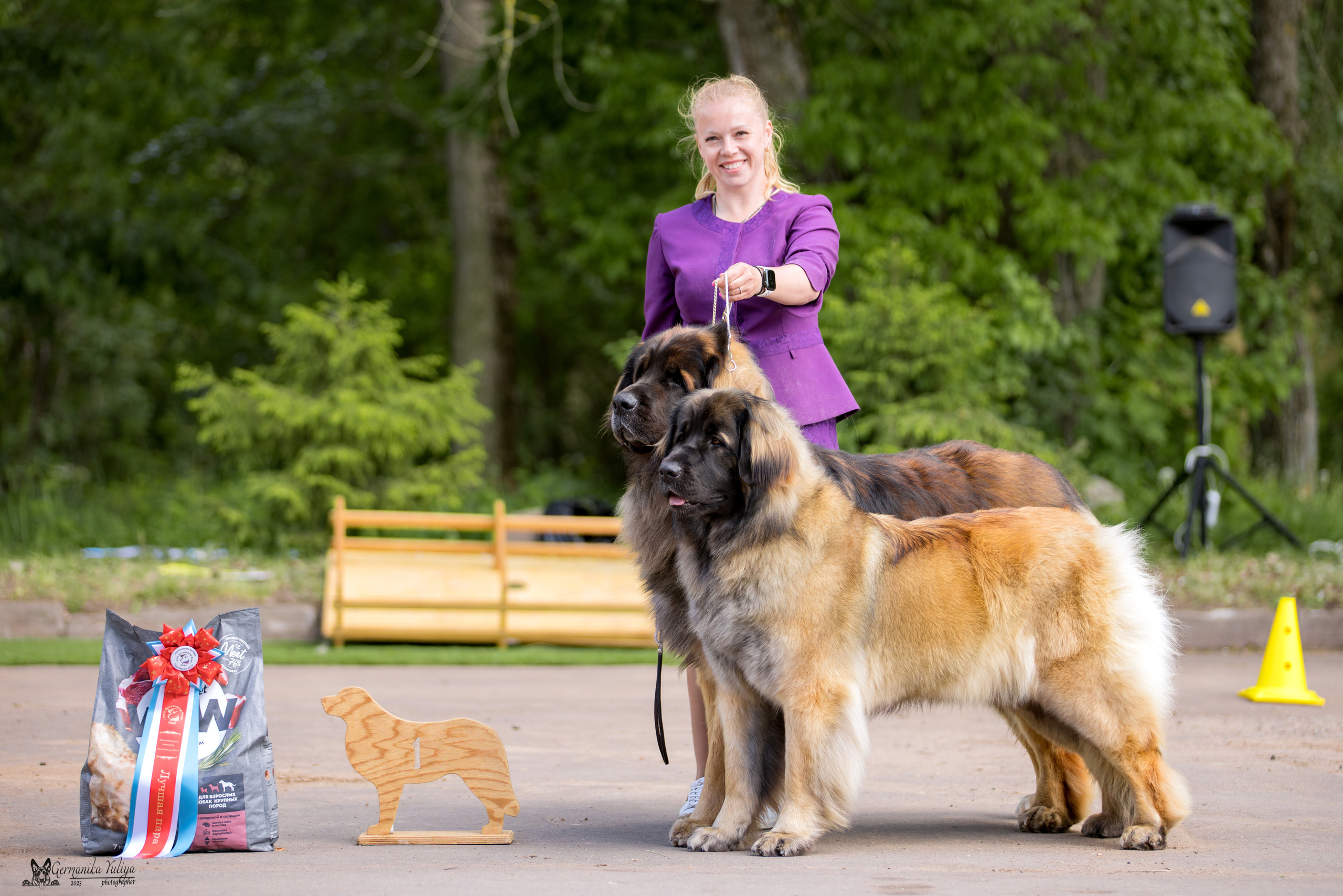 Националка Леонбергеров 28.05.2023. Фотограф-анималист Юлия Германика