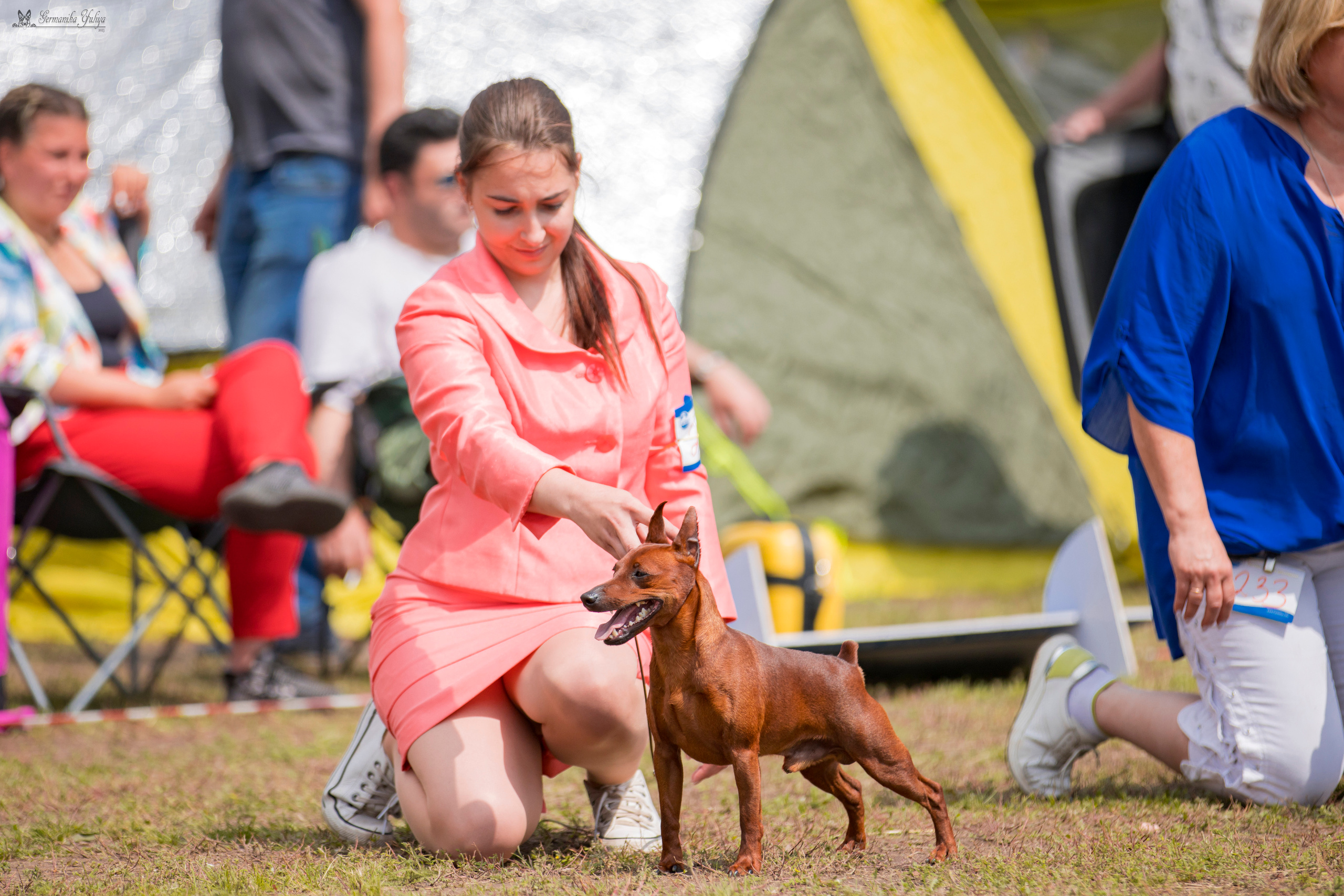 Владимир 1-2.07.2023. Фотограф-анималист Юлия Германика