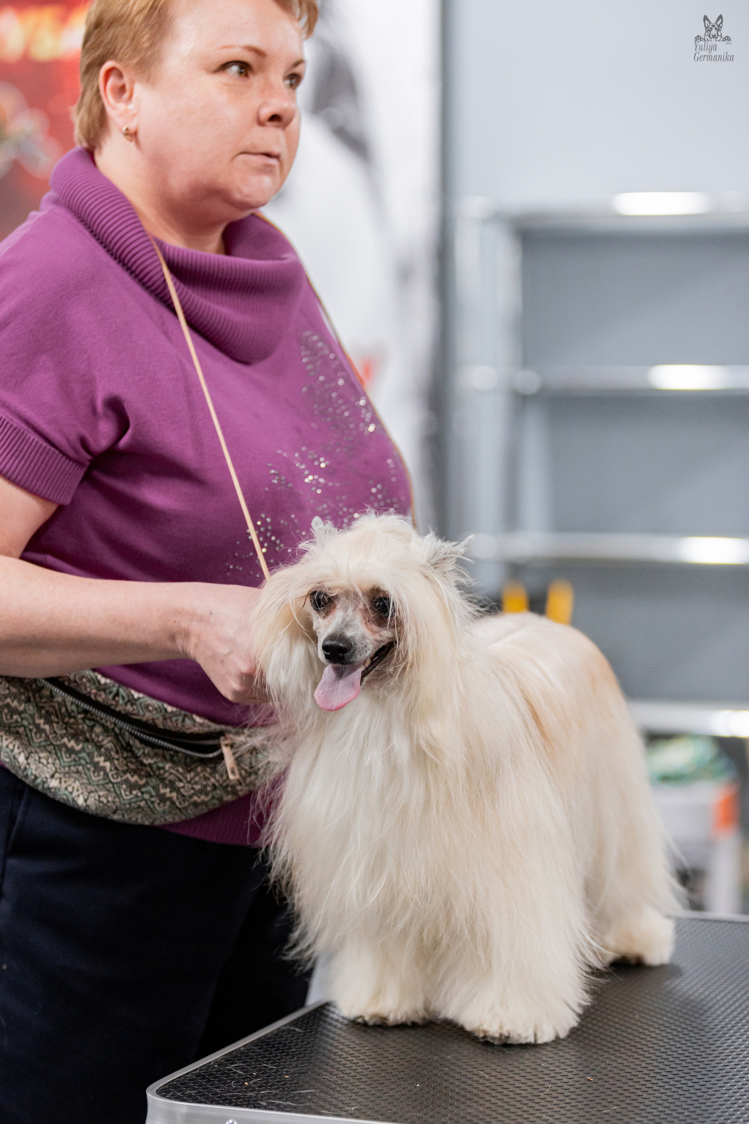 Сфера+доберманы 02.04.2023. Фотограф-анималист Юлия Германика