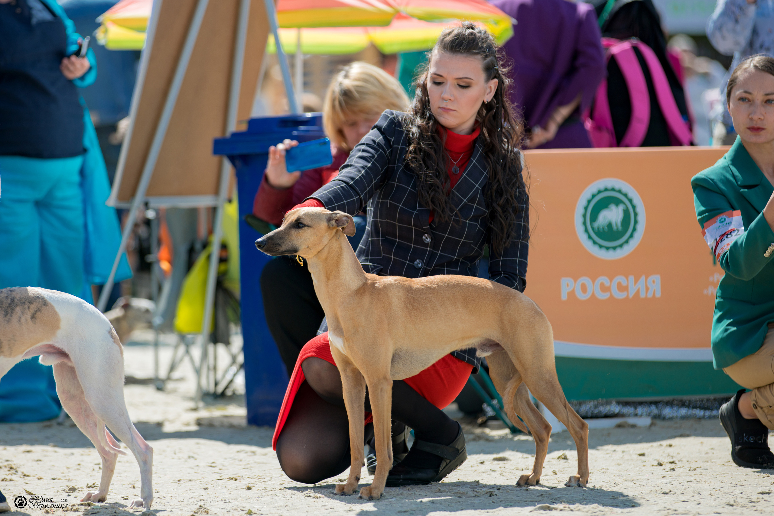 Россия 10-11.06.2023. Фотограф-анималист Юлия Германика