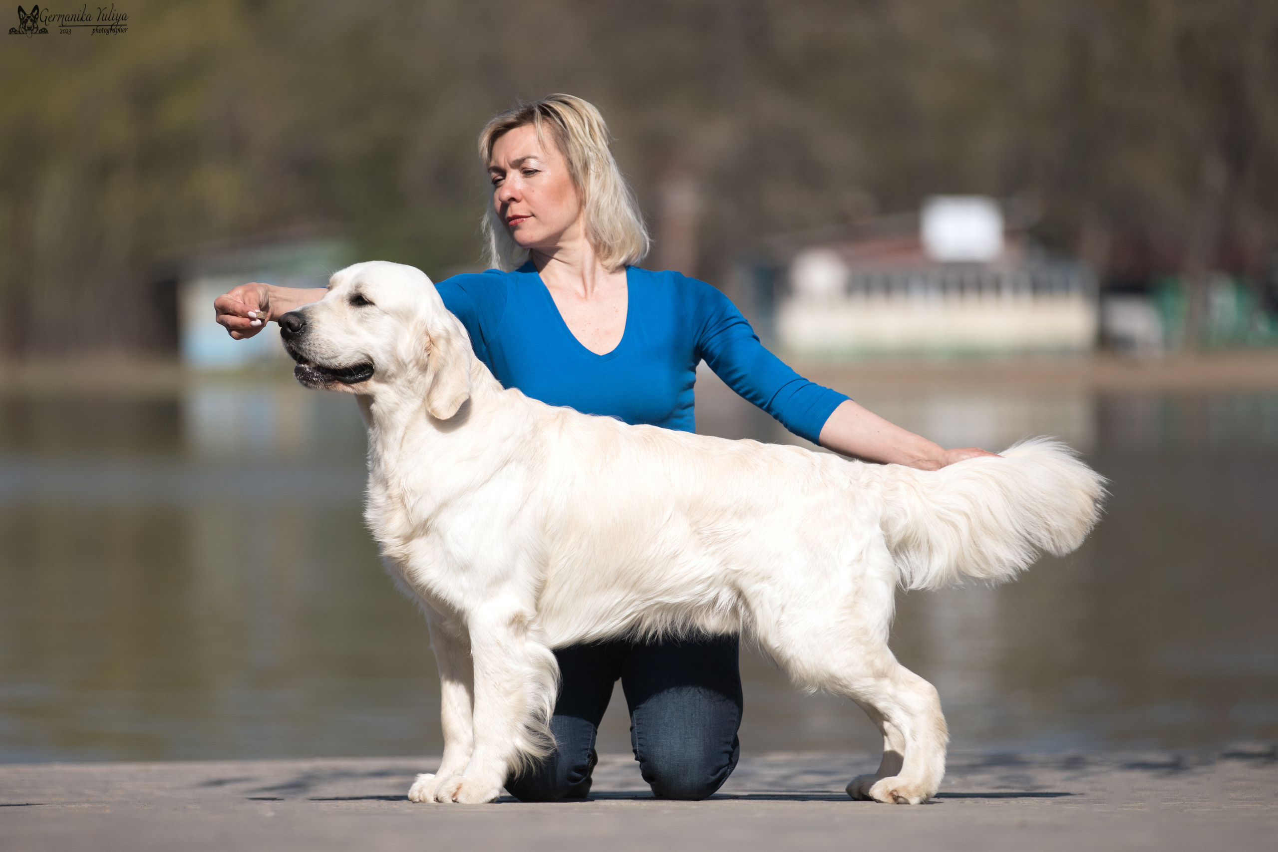 Голдены Саратов 24.04.2023. Фотограф-анималист Юлия Германика