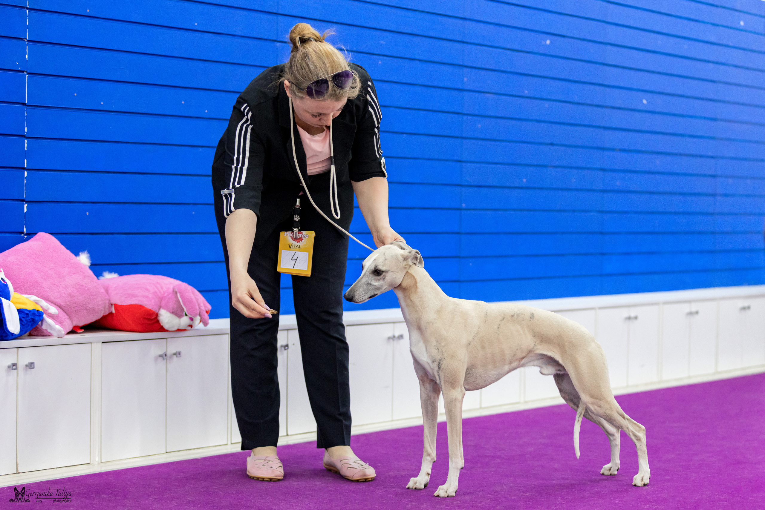 Сфера+МД 8-9.04.2023. Фотограф-анималист Юлия Германика