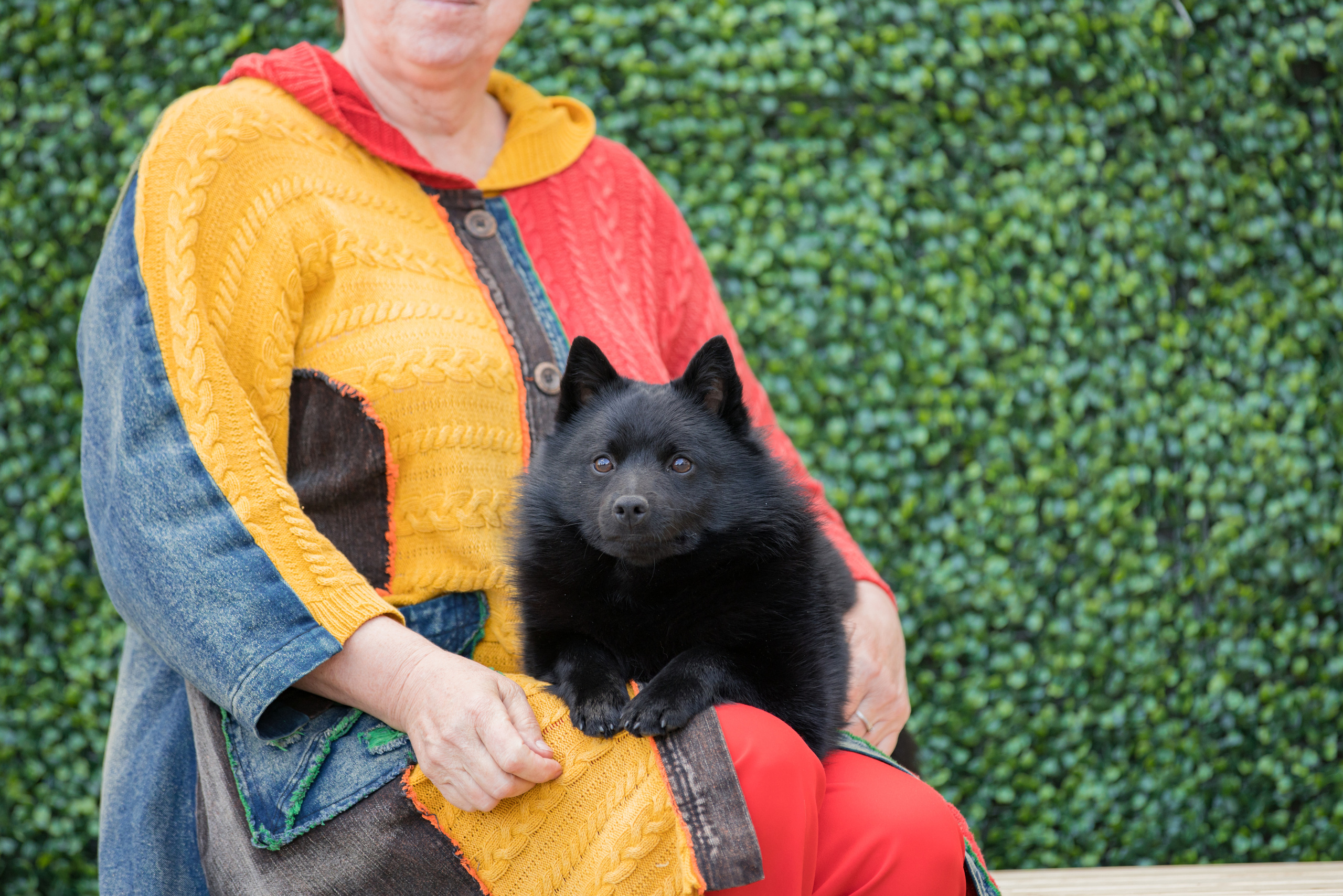 Россия 10-11.06.2023. Фотограф-анималист Юлия Германика