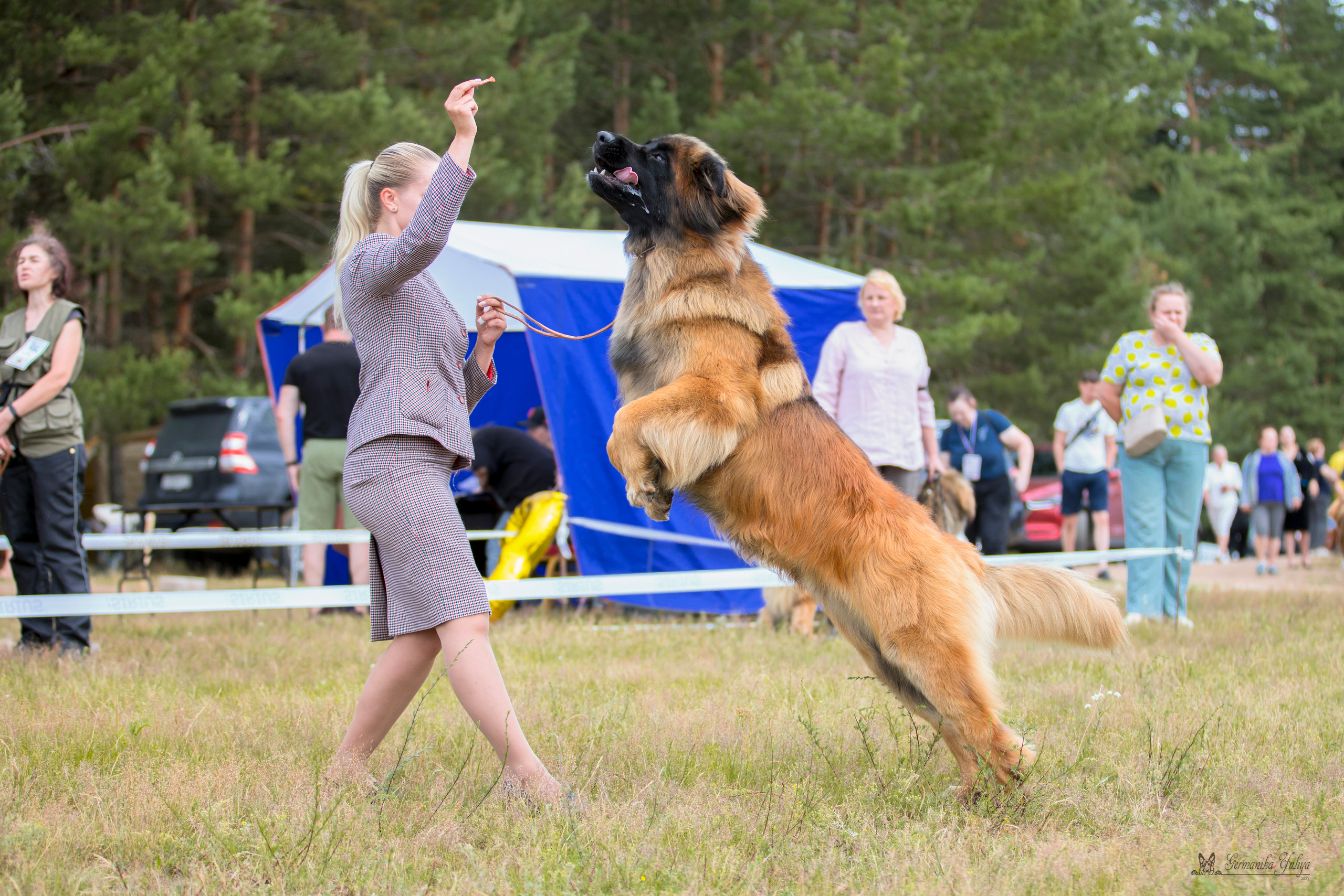Волжанка 8.07.2023. Фотограф-анималист Юлия Германика