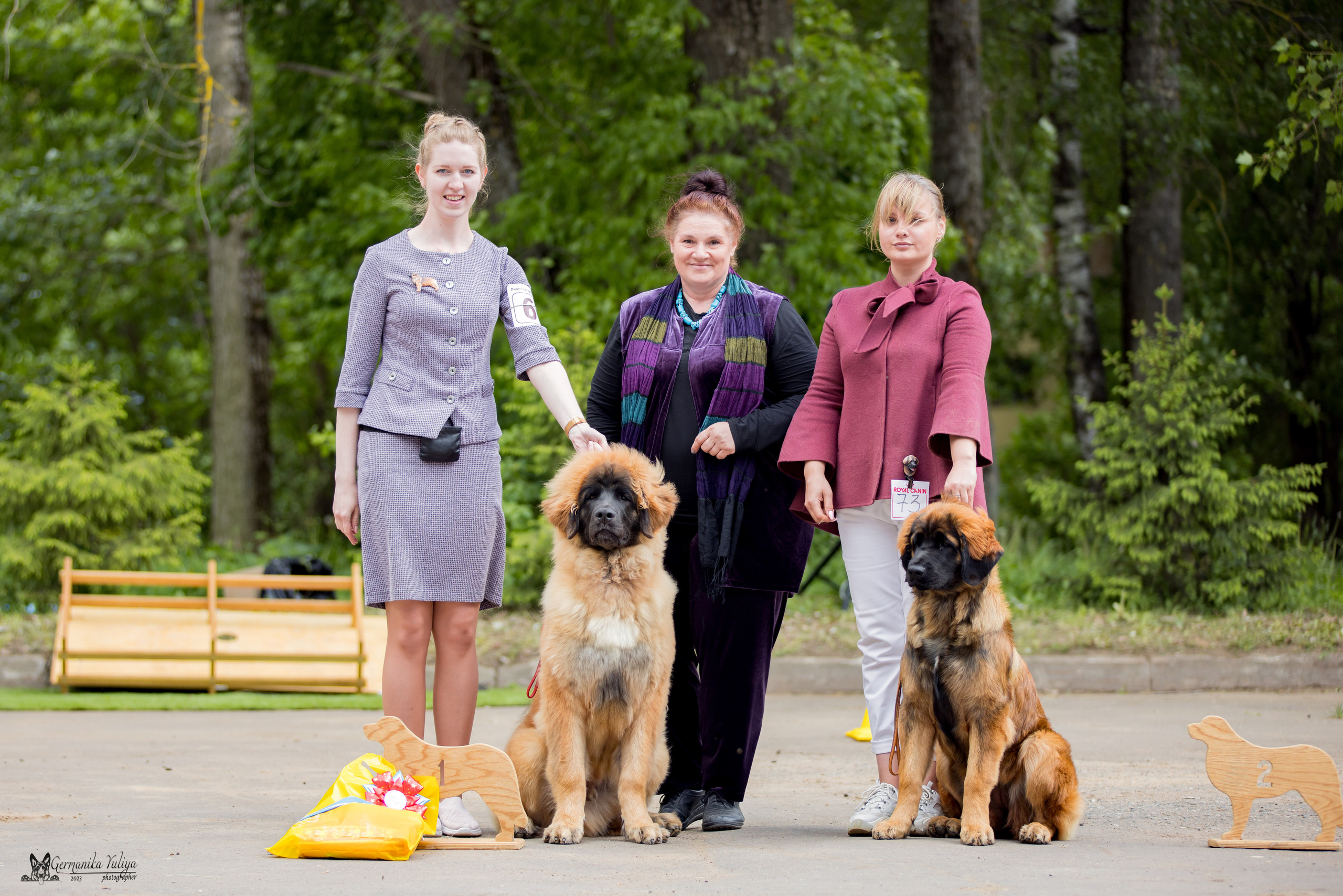Националка Леонбергеров 28.05.2023. Фотограф-анималист Юлия Германика