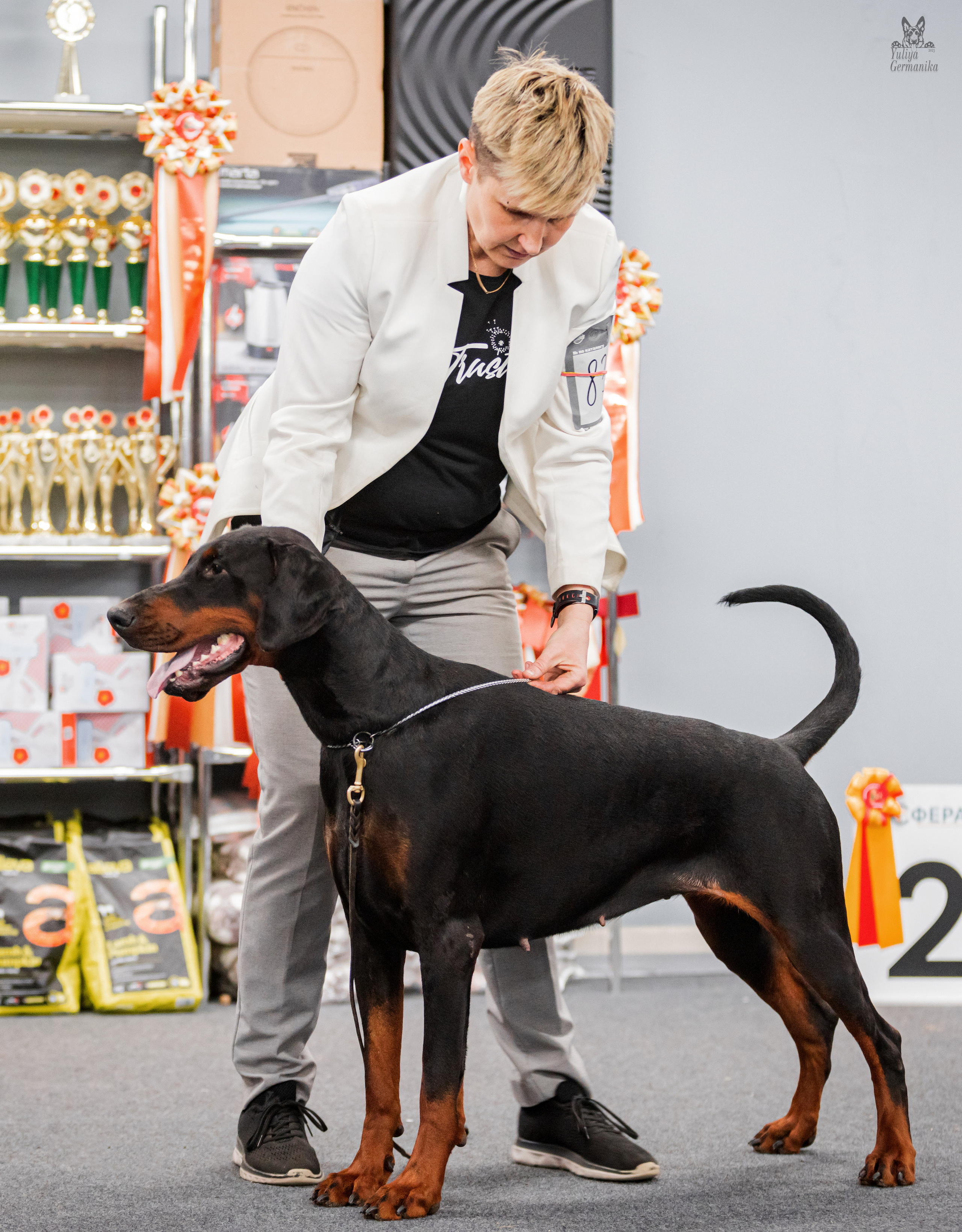 Сфера+доберманы 02.04.2023. Фотограф-анималист Юлия Германика