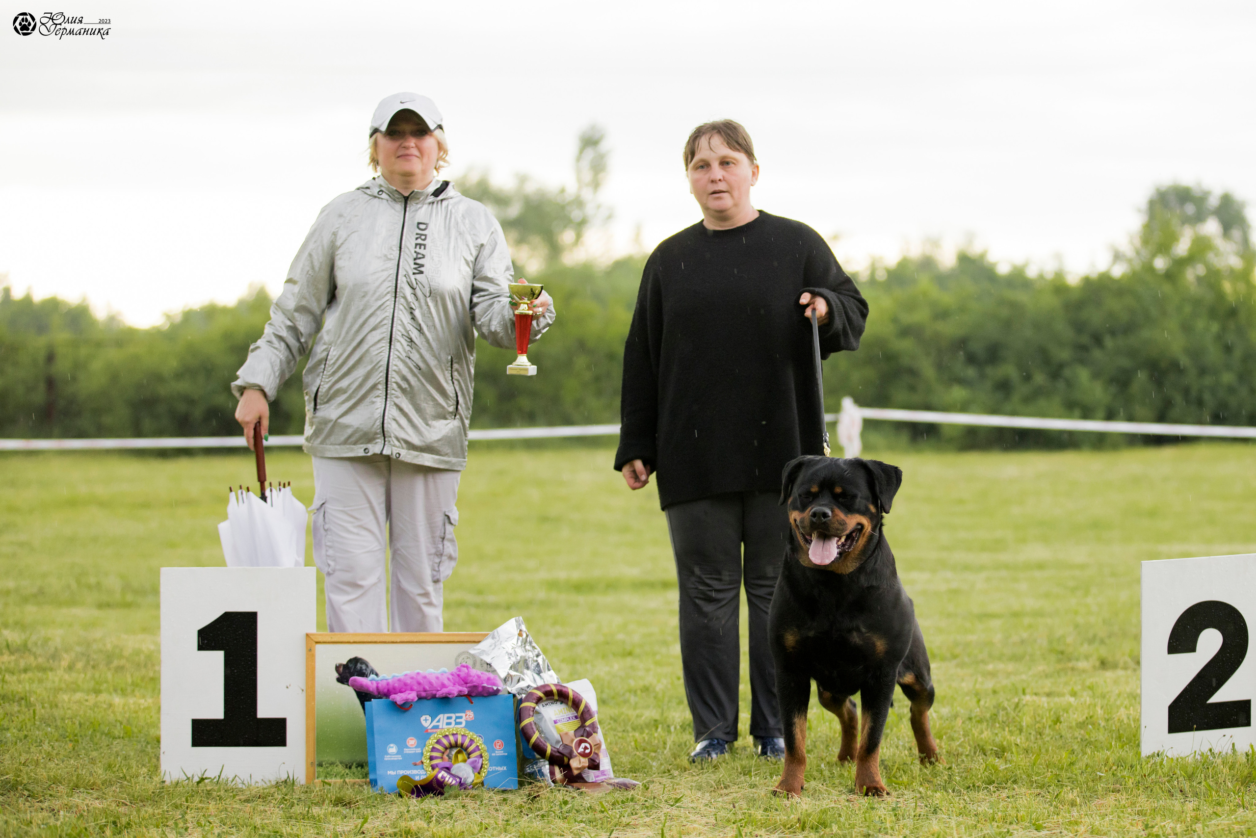 Воронеж 2хмоно ротвейлеров 3-4.06.2023. Фотограф-анималист Юлия Германика