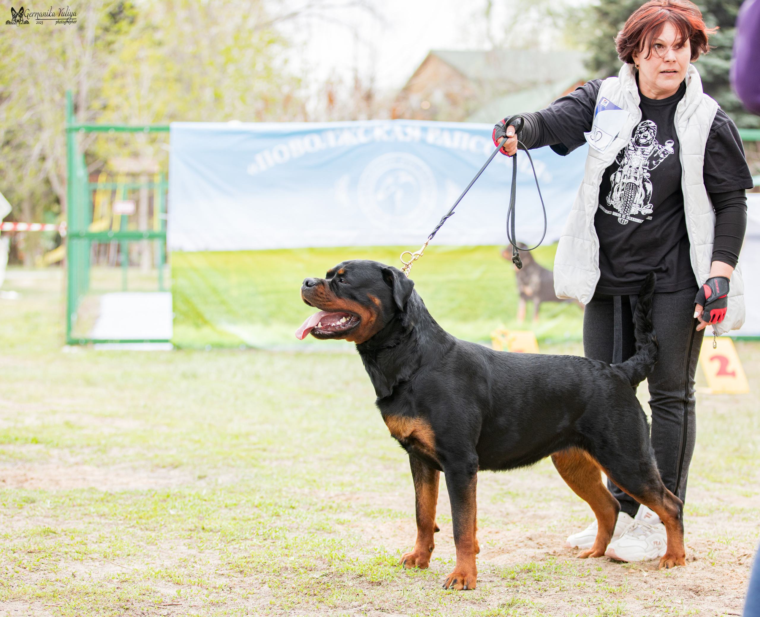 Саратов 2хмоно ротвейлеров 22-23.04.2023. Фотограф-анималист Юлия Германика