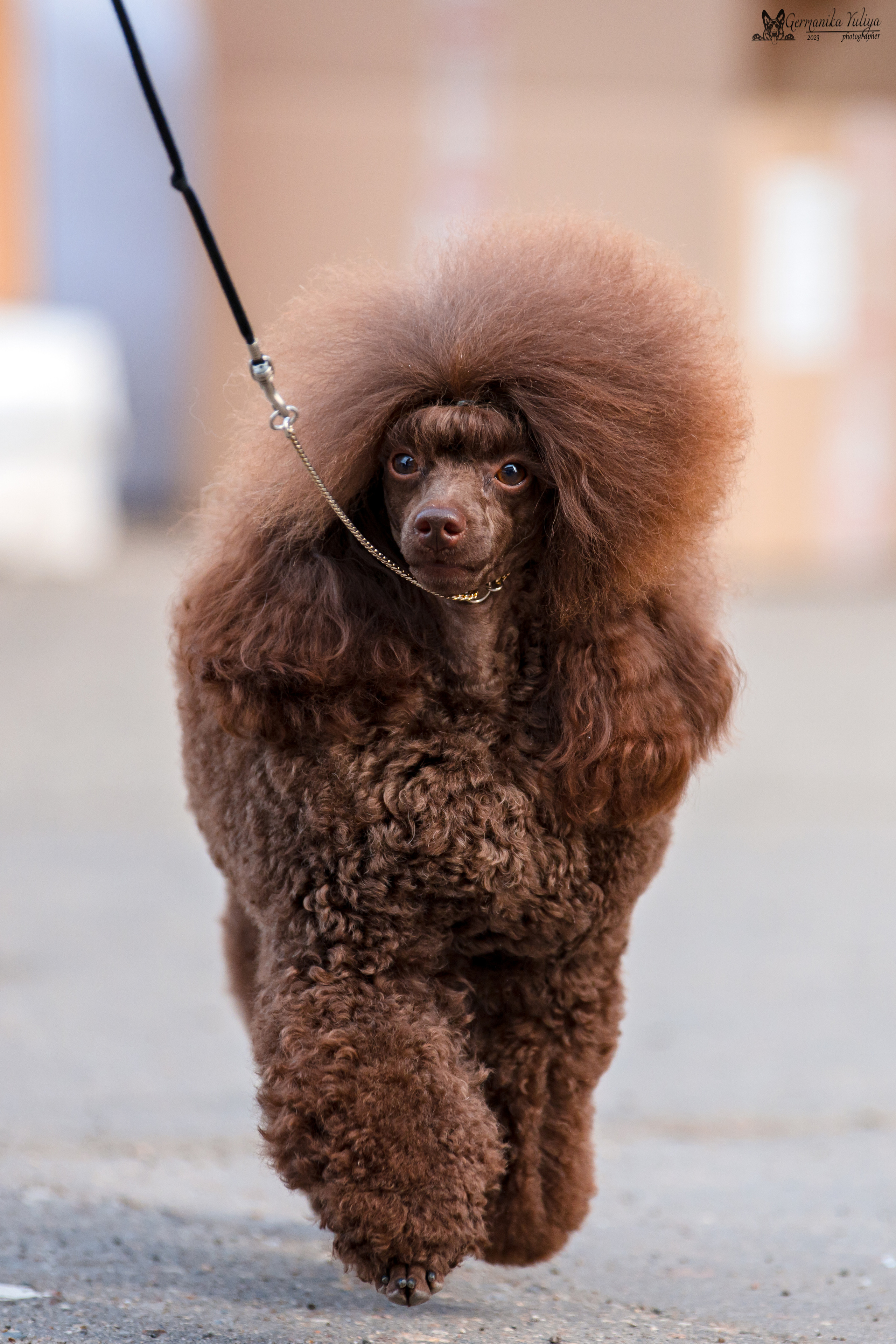 Измайлово 21.05.2023. Фотограф-анималист Юлия Германика