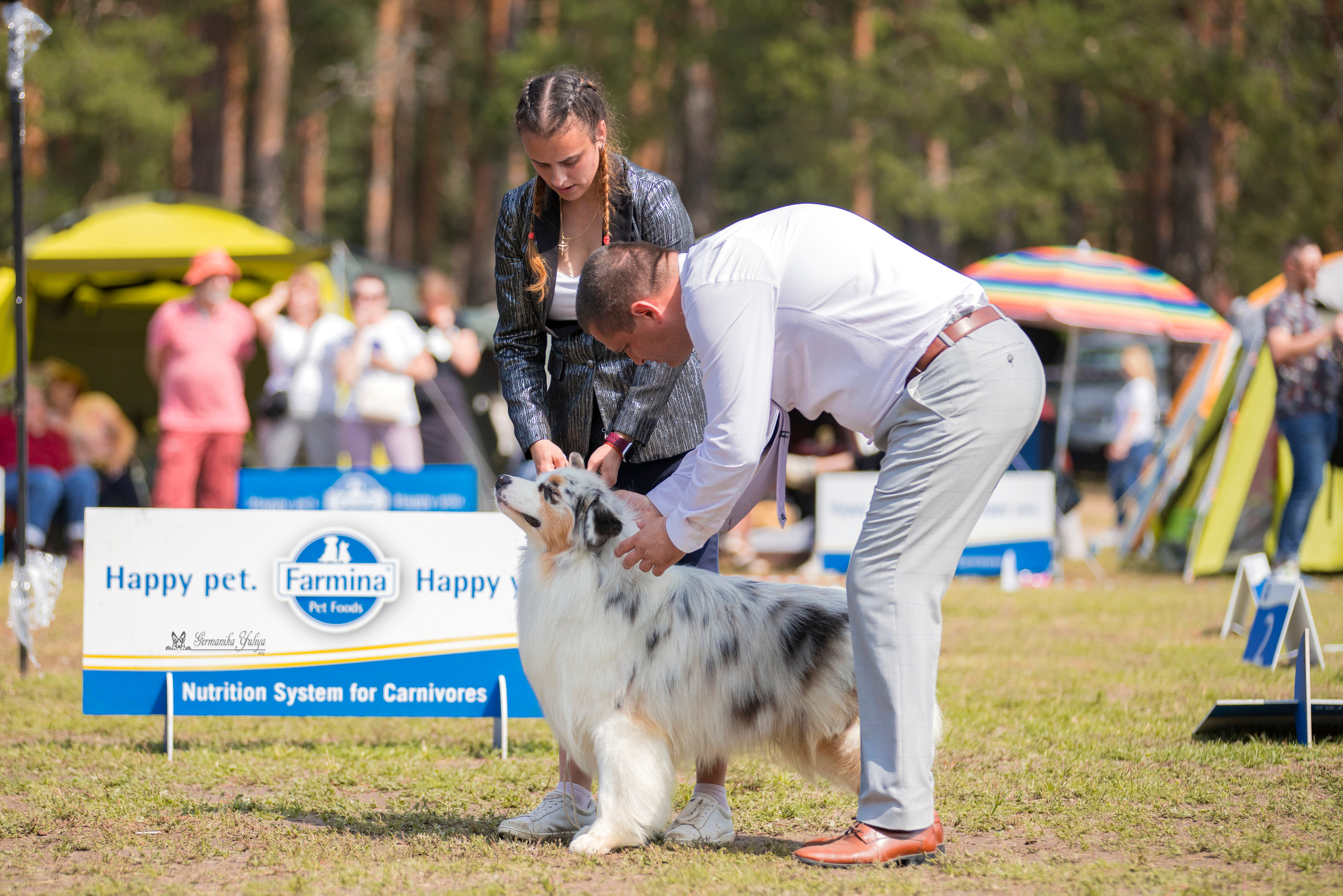 Владимир 1-2.07.2023. Фотограф-анималист Юлия Германика