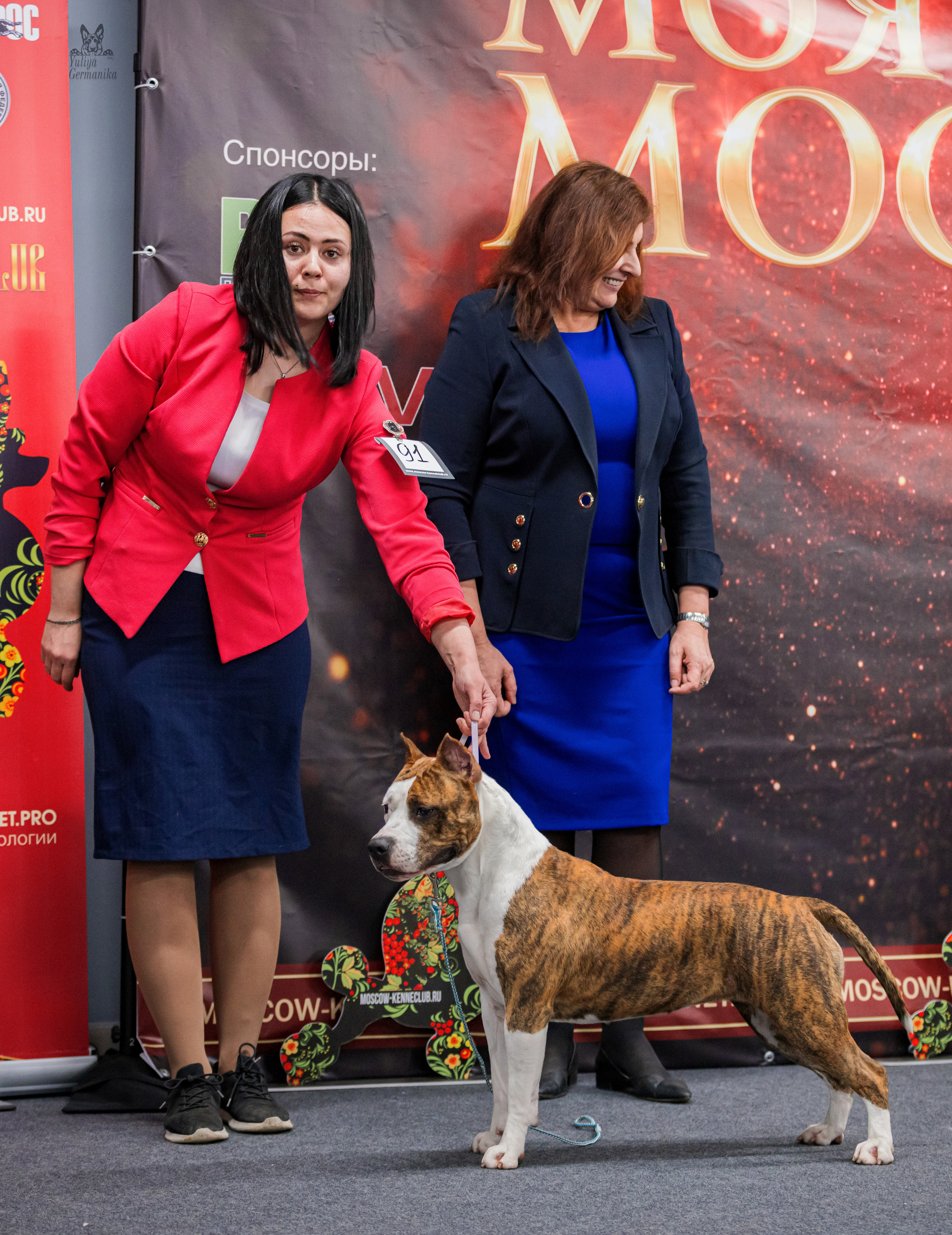 Сфера+доберманы 02.04.2023. Фотограф-анималист Юлия Германика