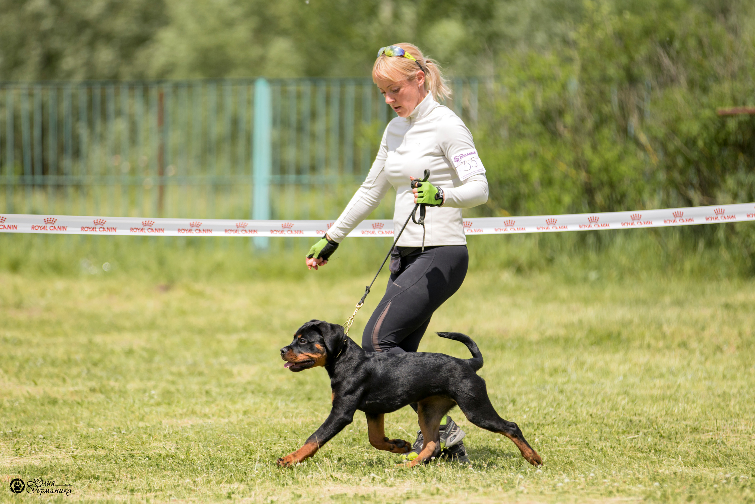 Воронеж 2хмоно ротвейлеров 3-4.06.2023. Фотограф-анималист Юлия Германика