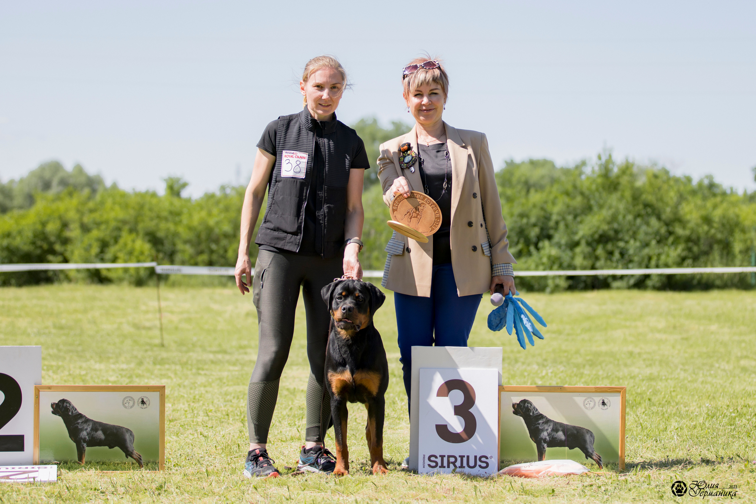 Воронеж 2хмоно ротвейлеров 3-4.06.2023. Фотограф-анималист Юлия Германика