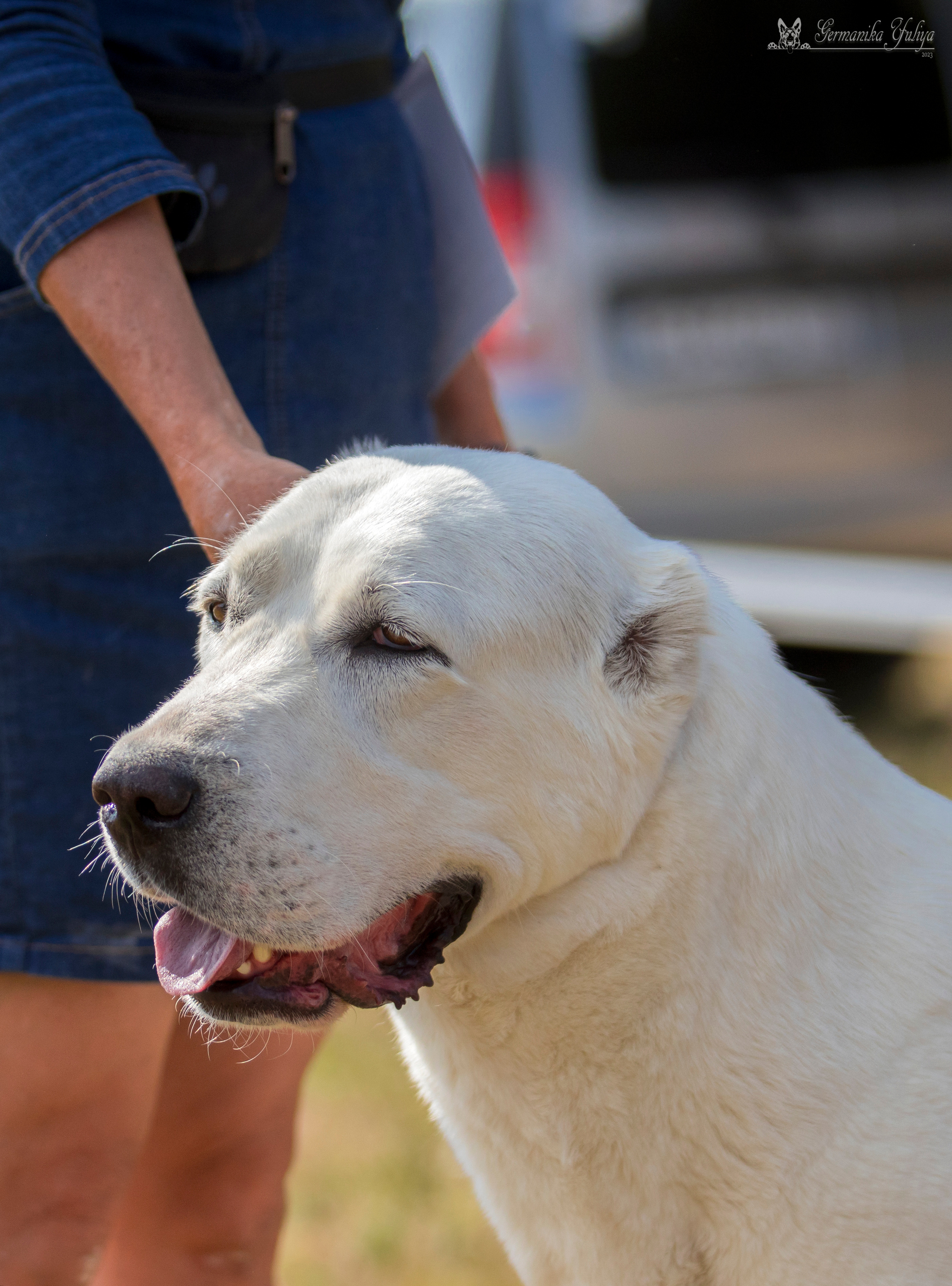 Волжанка 8.07.2023. Фотограф-анималист Юлия Германика