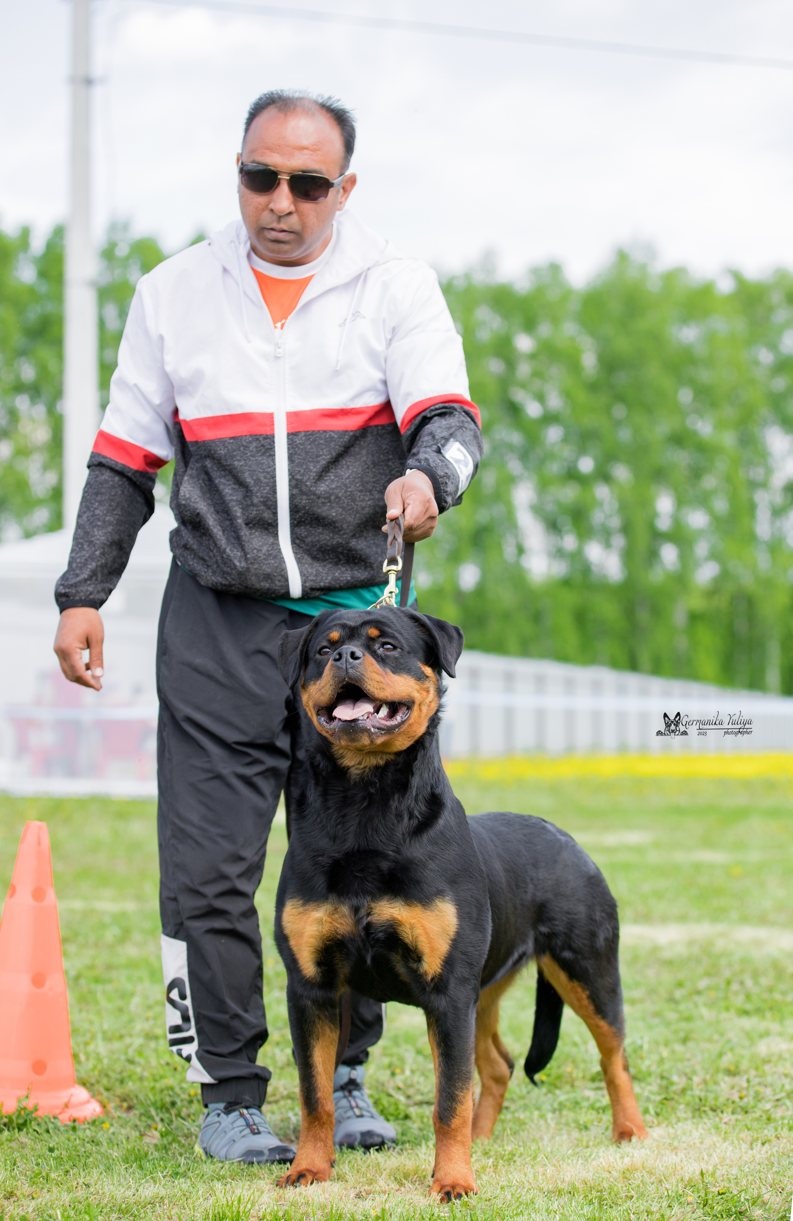 Нижний Новгород моно ротвейлеров 13.05.2023. Фотограф-анималист Юлия Германика