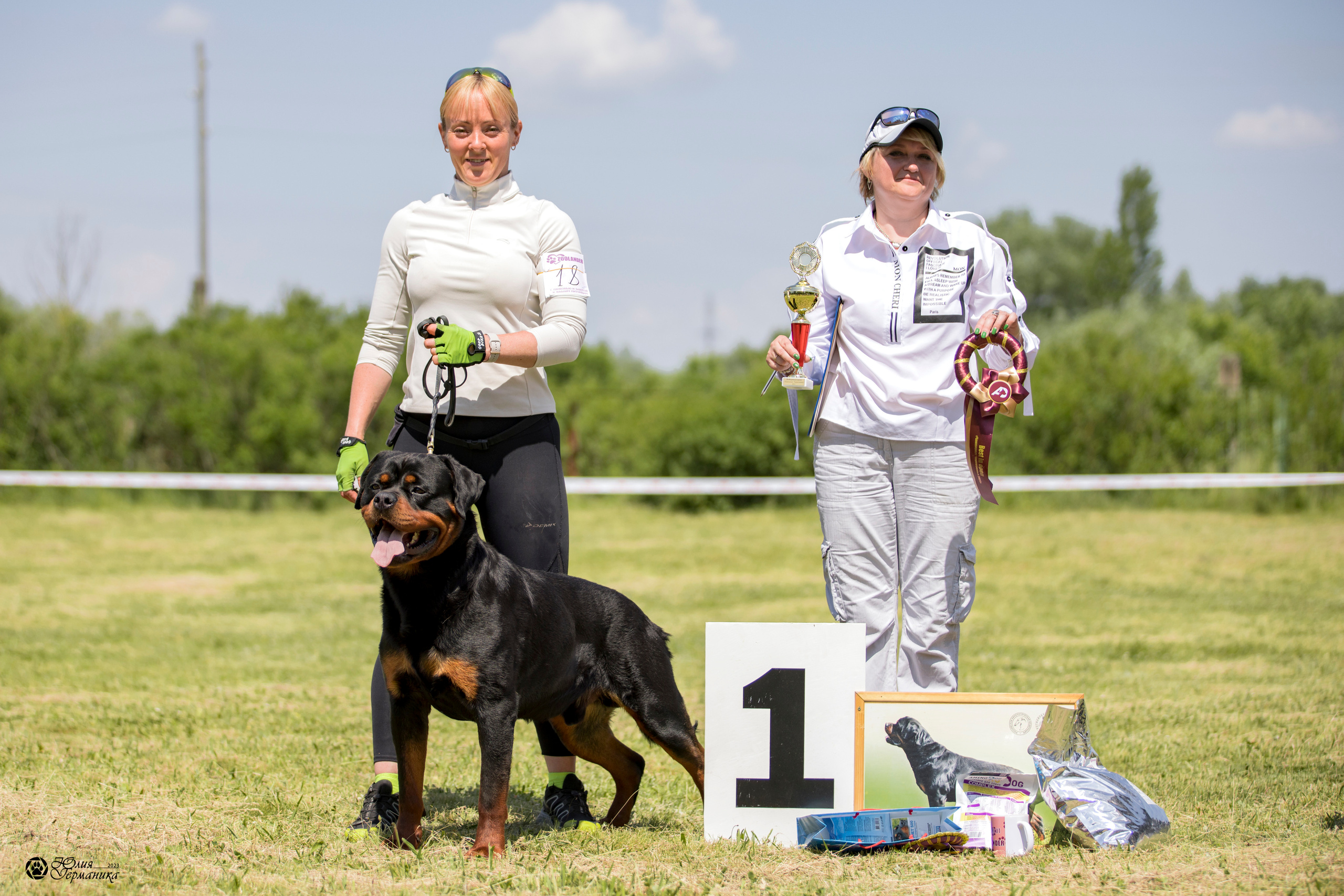 Воронеж 2хмоно ротвейлеров 3-4.06.2023. Фотограф-анималист Юлия Германика