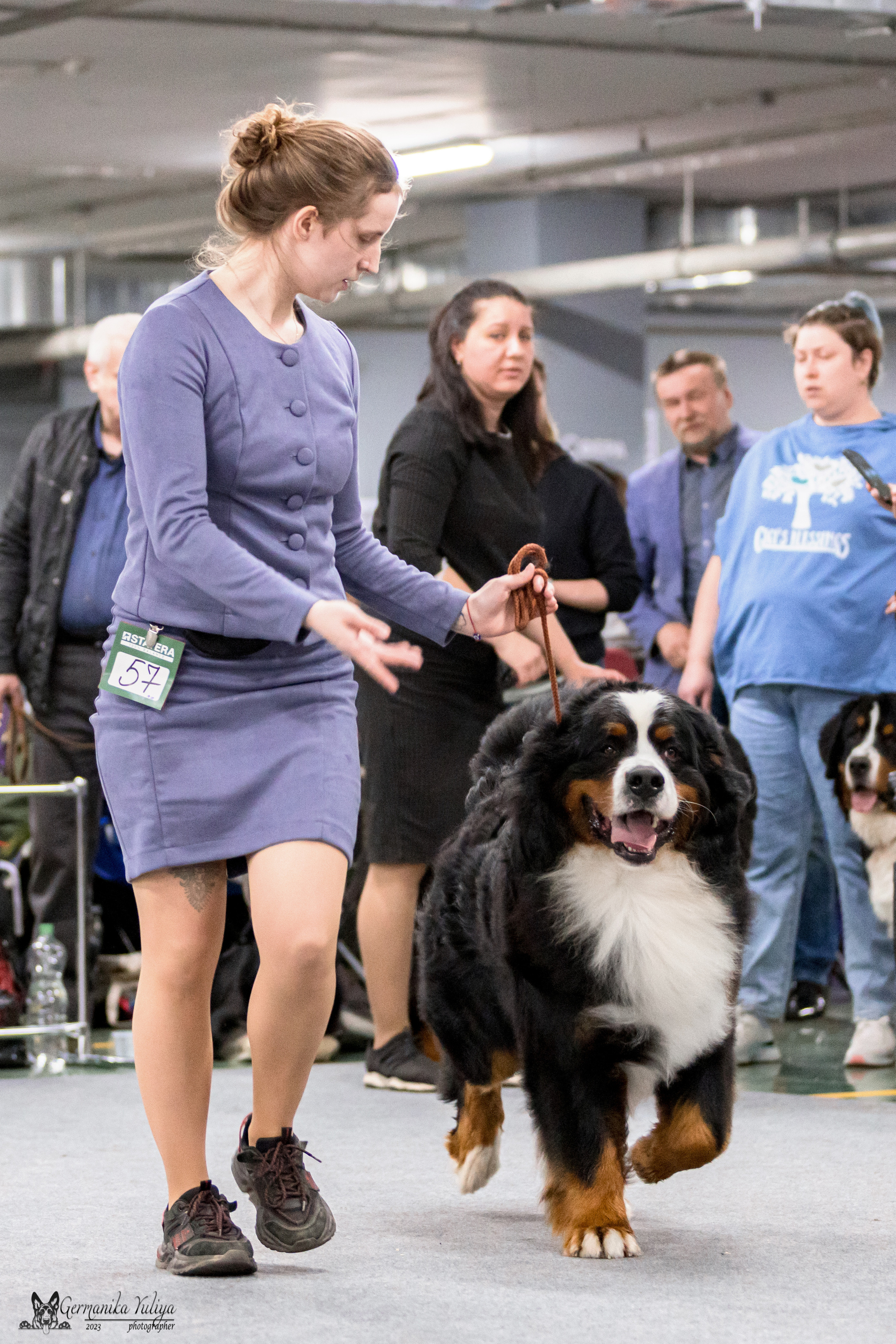 Сфера+МД 8-9.04.2023. Фотограф-анималист Юлия Германика