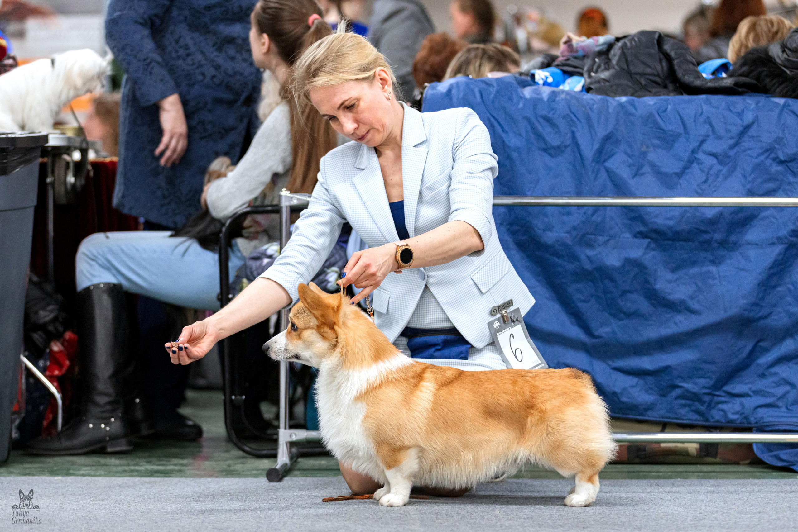 Сфера+доберманы 02.04.2023. Фотограф-анималист Юлия Германика
