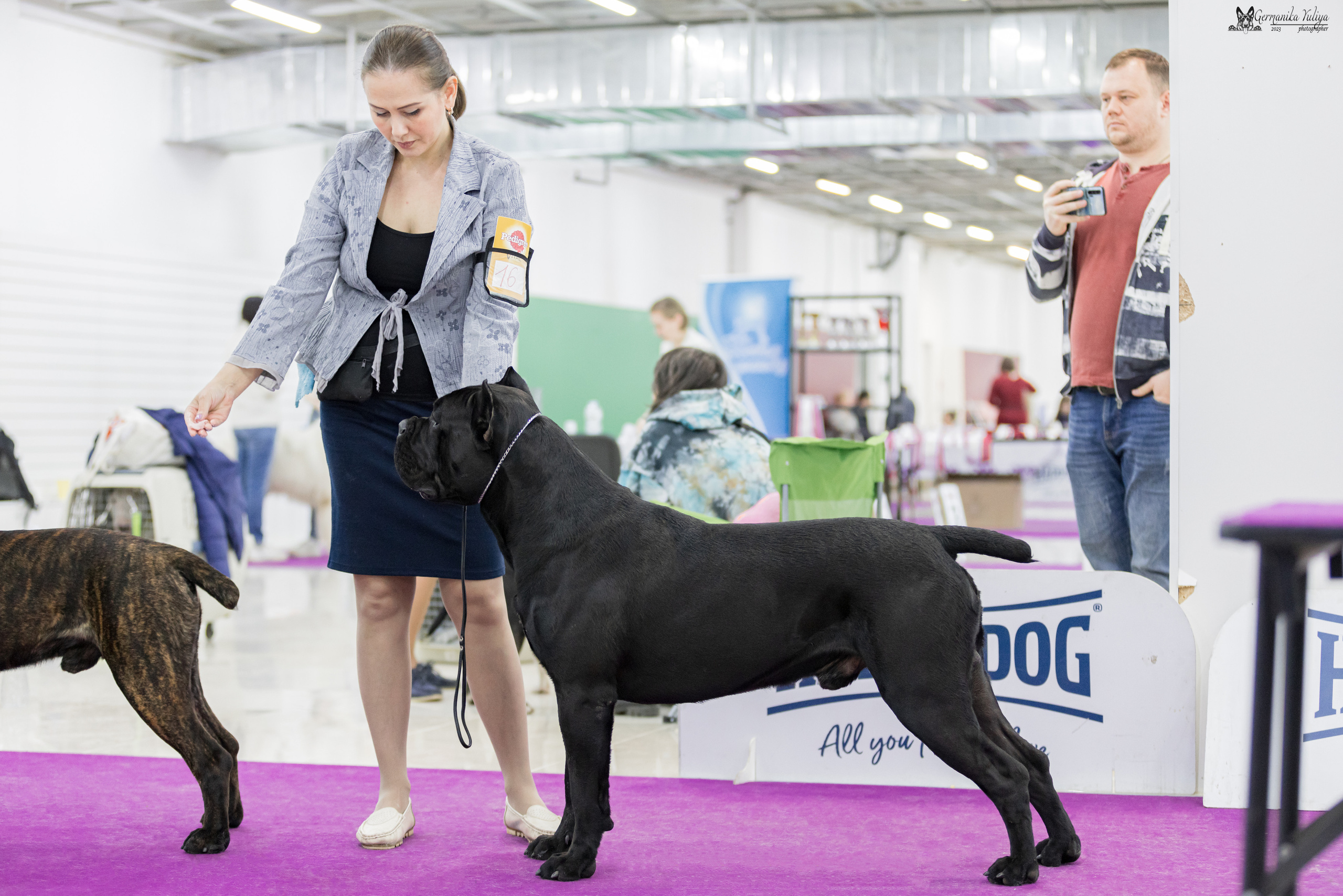 Сфера+МД 8-9.04.2023. Фотограф-анималист Юлия Германика