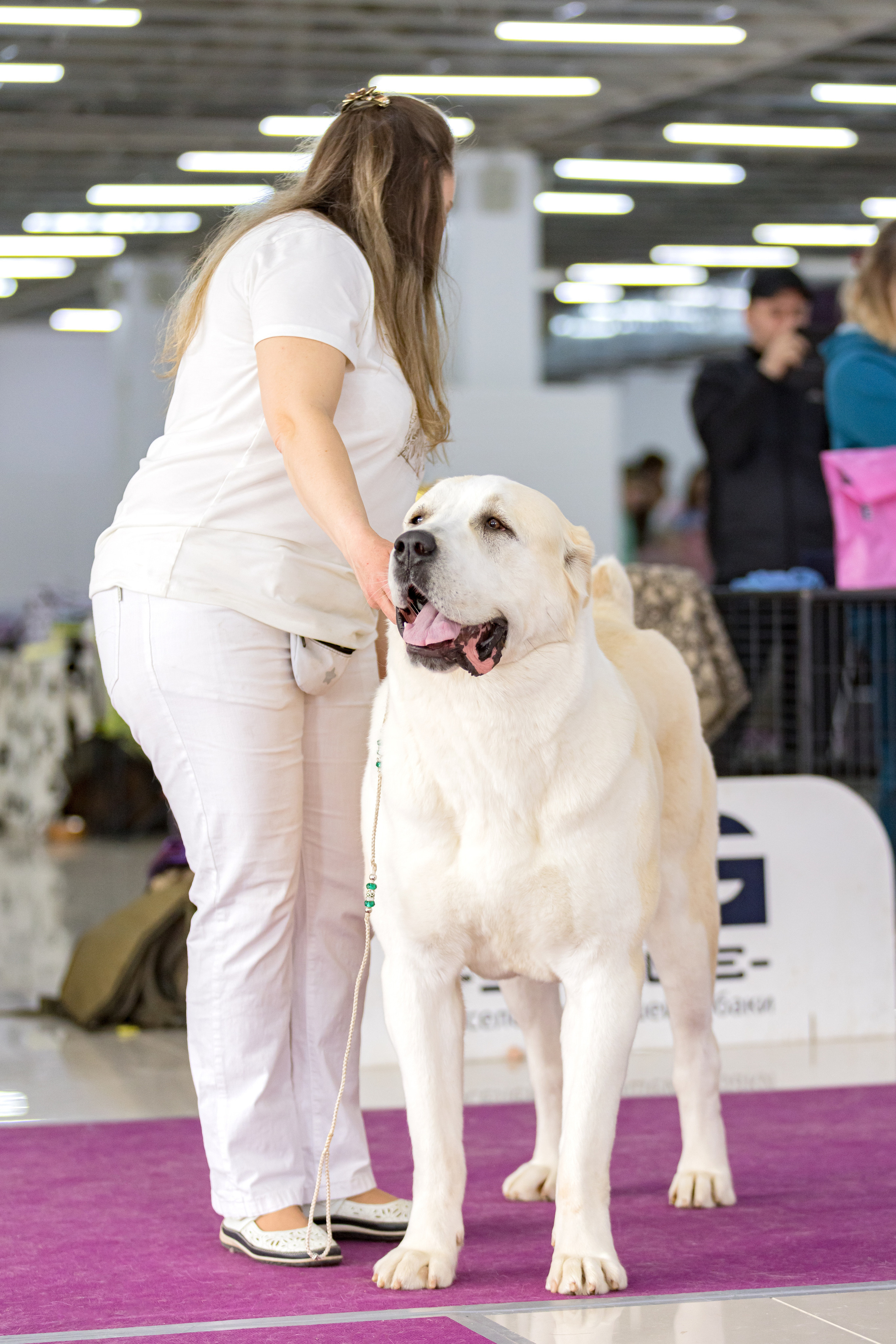 МД 15.04.2023. Фотограф-анималист Юлия Германика